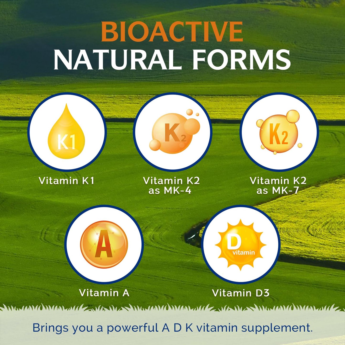 Innate Vitality K Ultra K1 & K2 D3 Vitamin Supplement Softgels, 60 Count
