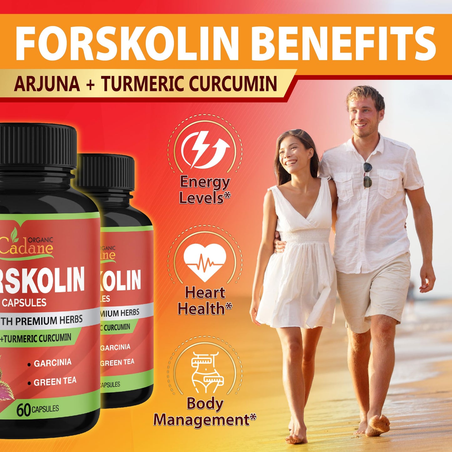 Organic Cadane Forskolin Supplements Capsule 120