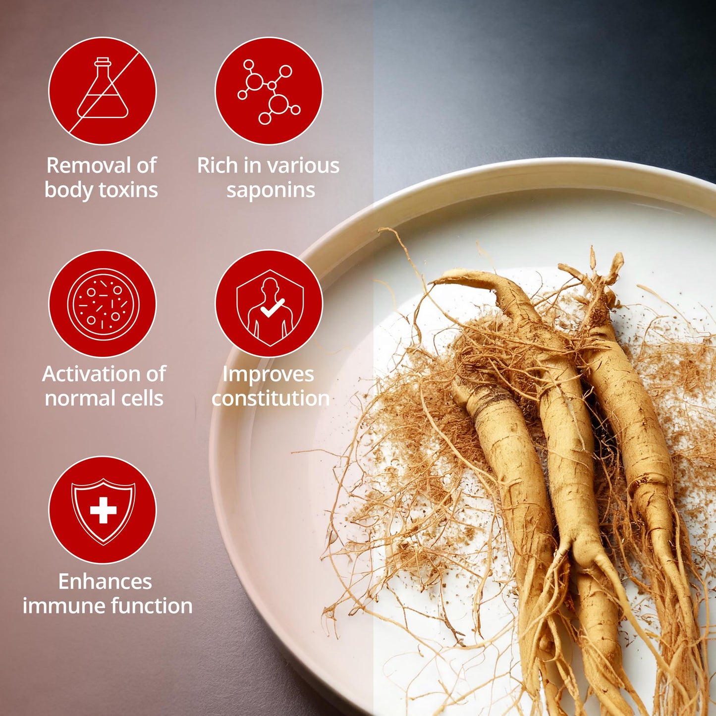 CHEONGHWA F&B Panax Ginseng Powder 4.23 oz
