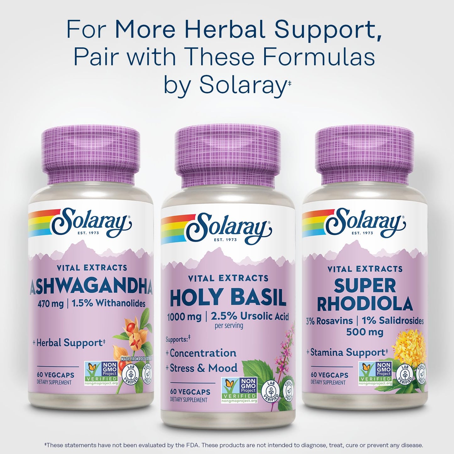 Solaray Holy Basil 1000 mg Capsule 60
