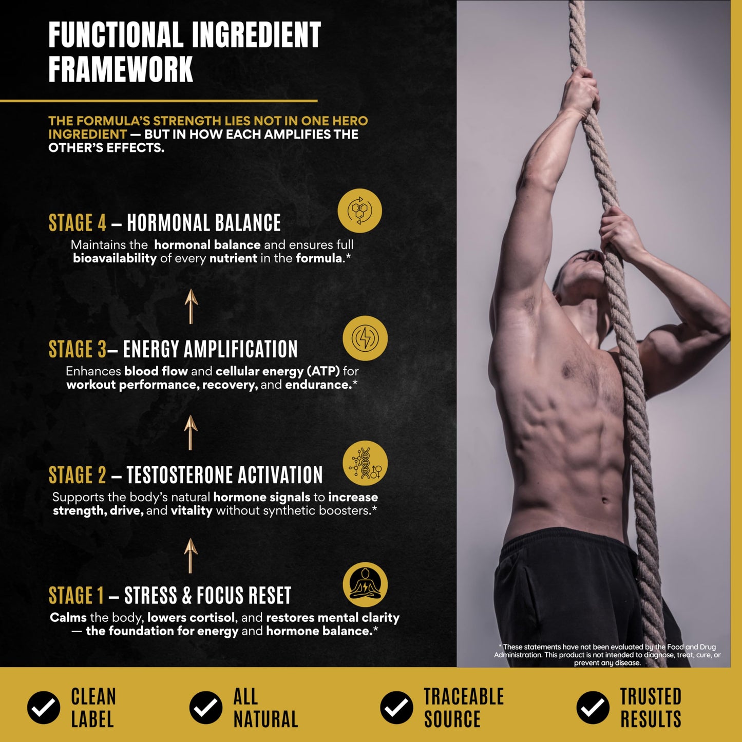 NutraHerbs Men's Testosterone Support 10-in-1 Horny Goat Weed with Tongkat Ali, Ashwagandha, Shilajit, Maca, Fadogia Agrestis, Tribulus & More – Energy, Vitality & Libido Support, 60 Capsules
