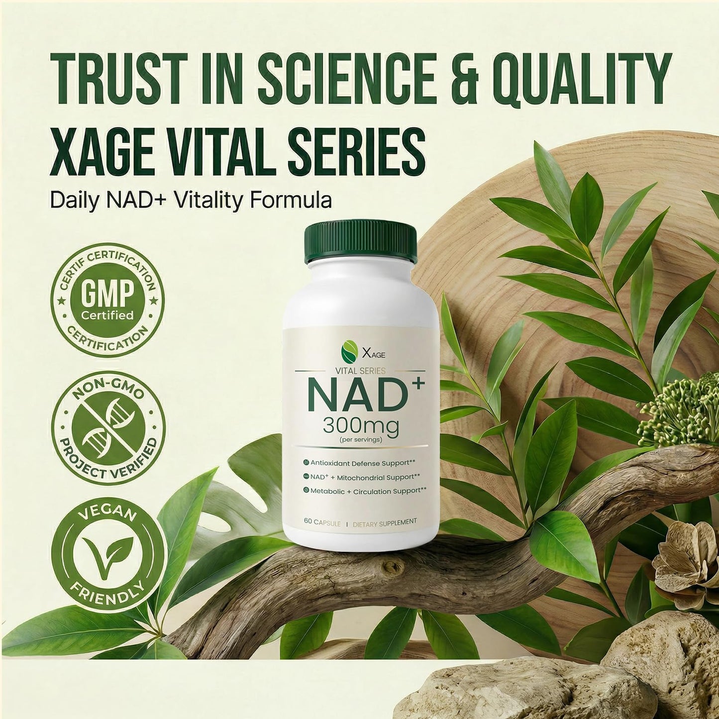 XAGE NAD+ Supplement with PQQ, Quercetin & EGCG for Cellular Energy Capsule, 60 Count