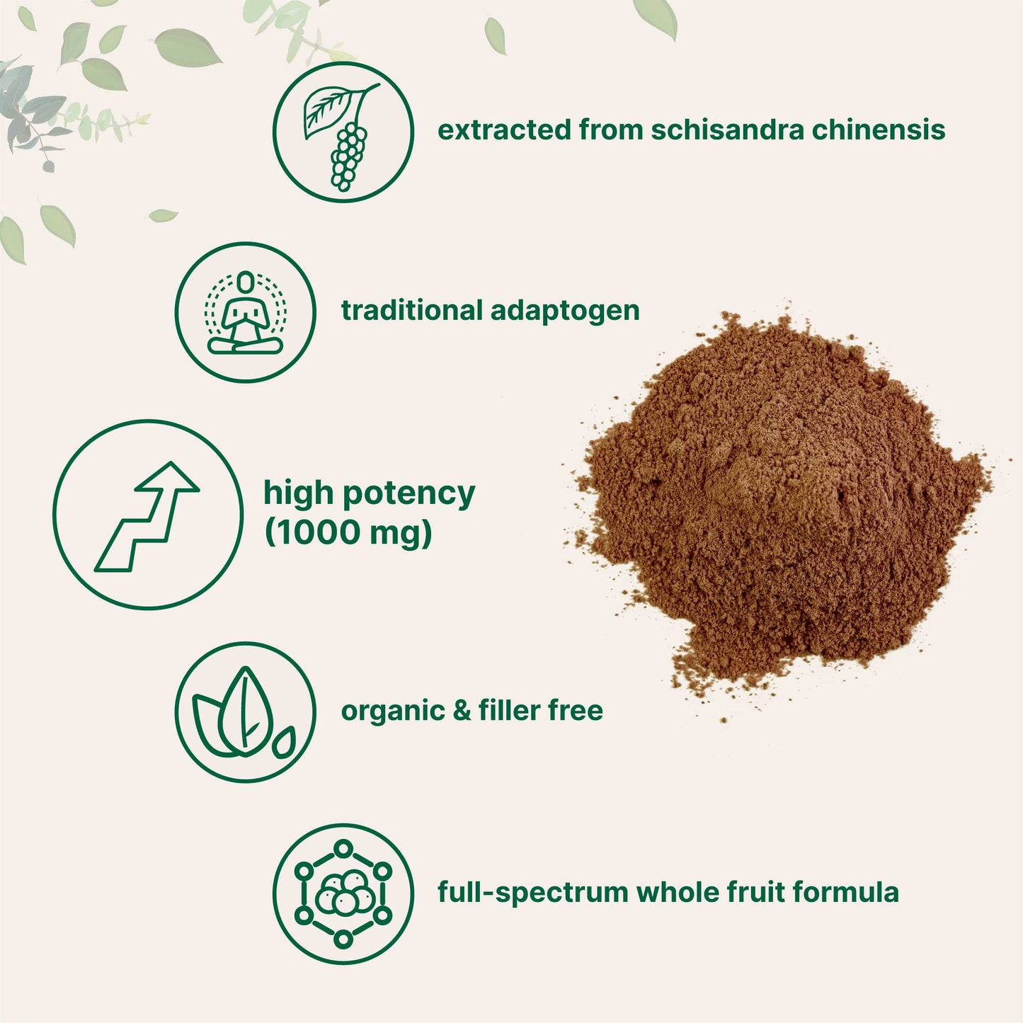 Micro Ingredients Organic Schisandra Extract Powder 8 Ounce