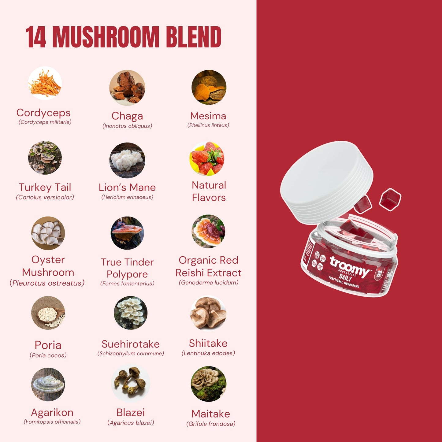 Troomy Nootropics Daily 14 Mushroom Blend Gummies 30 Count