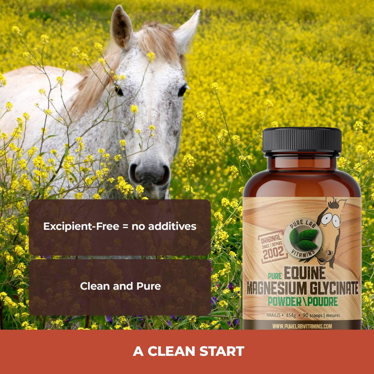 Pure Lab Vitamins Equine Magnesium Glycinate Powder 454