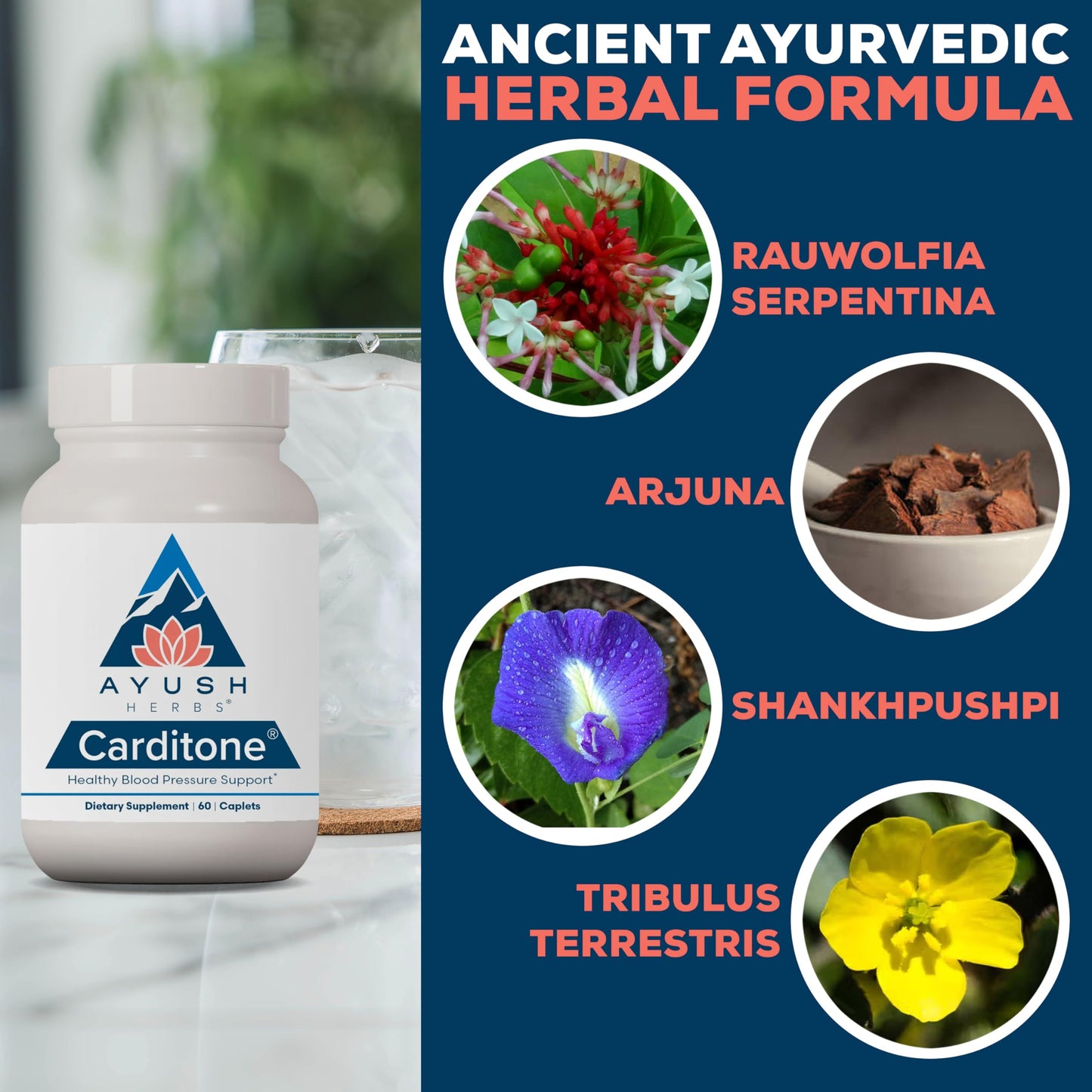 Ayush Herbs Carditone BP Formula Natural Heart Health Supplement, 120 Capsules