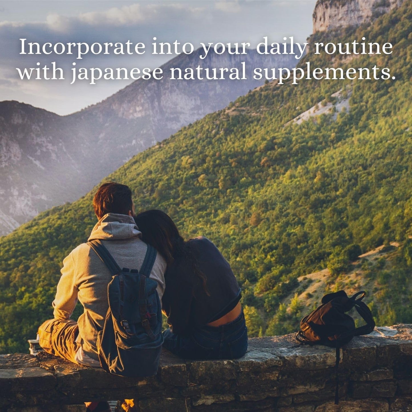 FINE JAPAN Fucoidan with Wakame Seaweed Extract & Agaricus Extract 198 Tablets