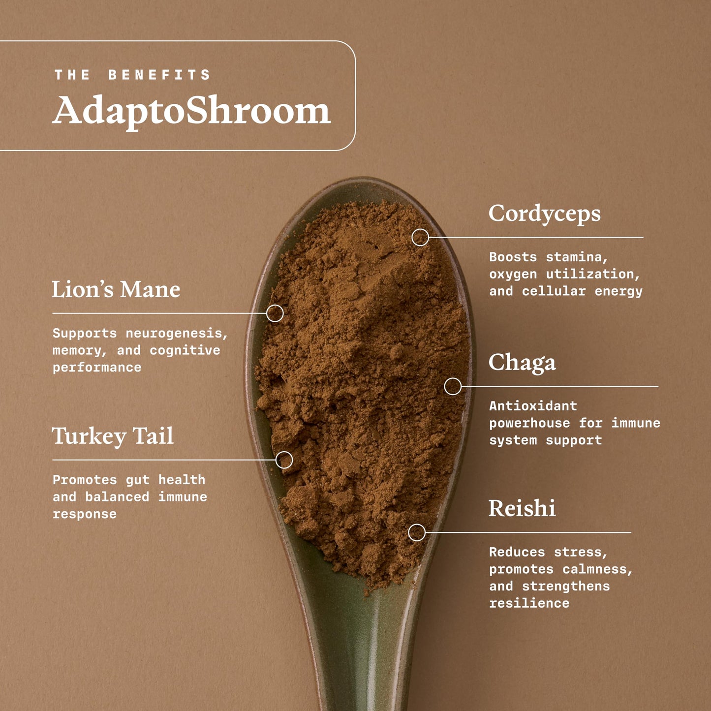 Ultra Life Sport AdaptoShroom 7 Adaptogenic Mushrooms Powder 3.52