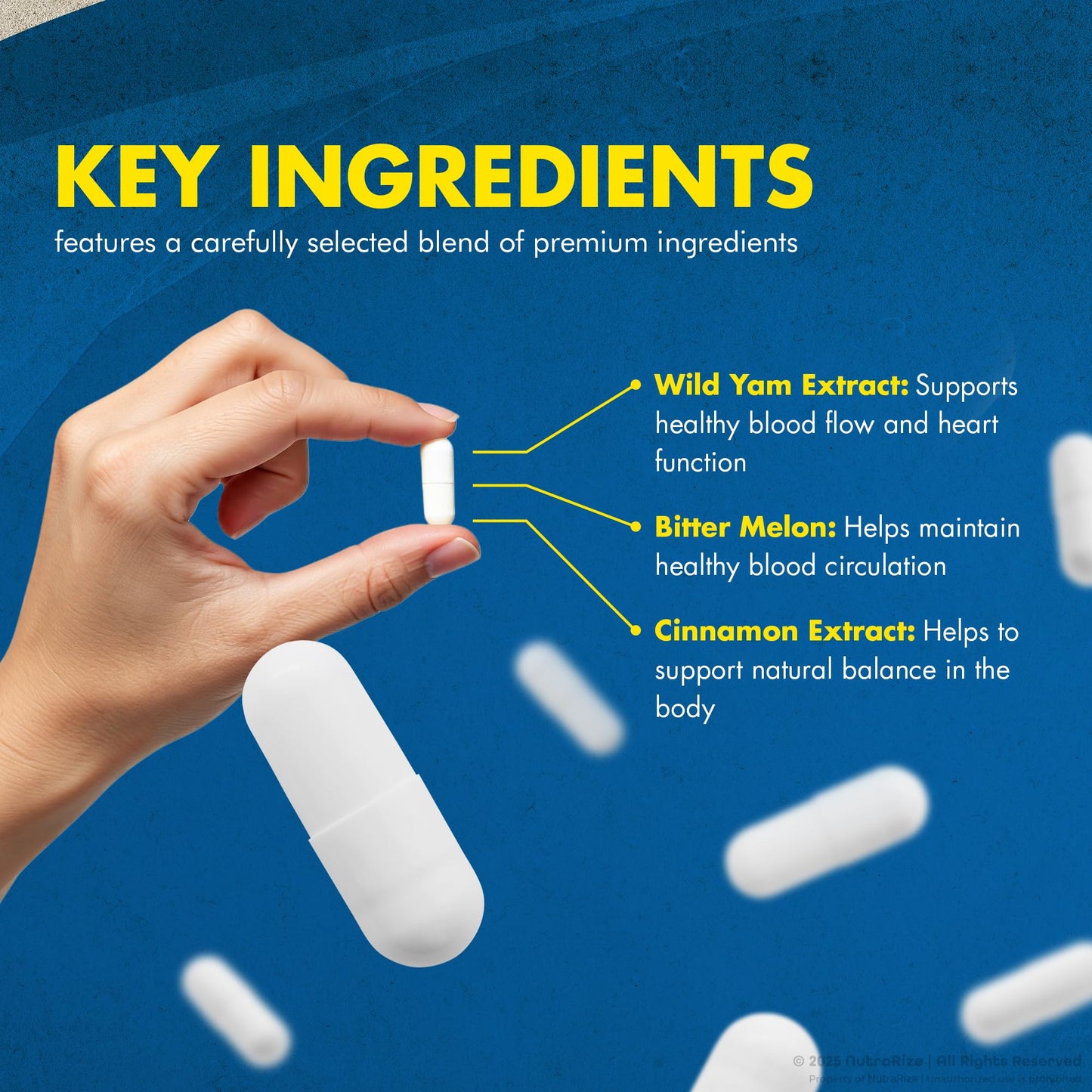 NutraRize Gluco Savior Capsules 180