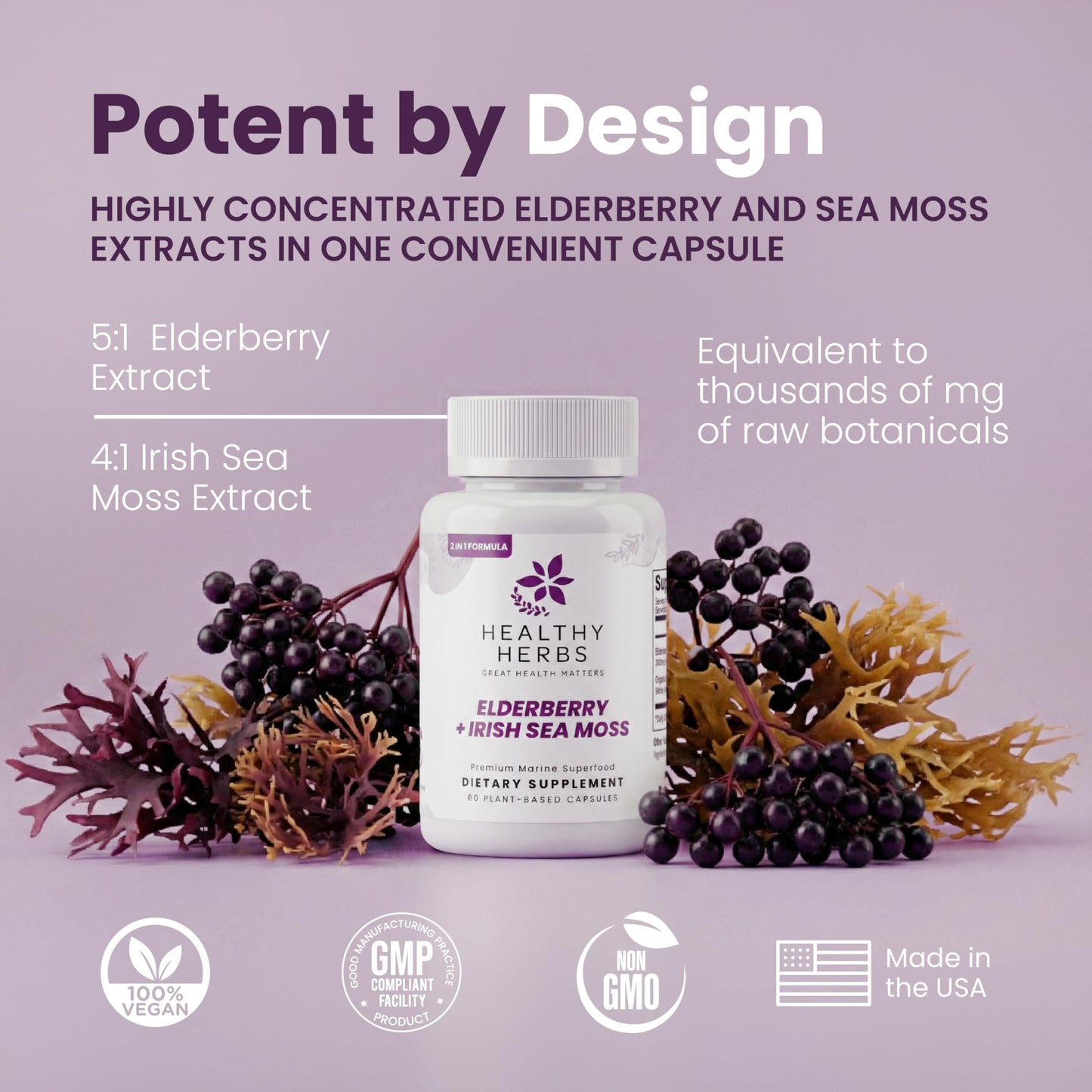 Healthy Herbs Wildcrafted Elderberry Sea Moss Capsules 2600mg Irish Sea Moss + Elderberry Essentials Blend, US-Made, Vegan, Non-GMO, Easy-Swallow, 60 Capsules