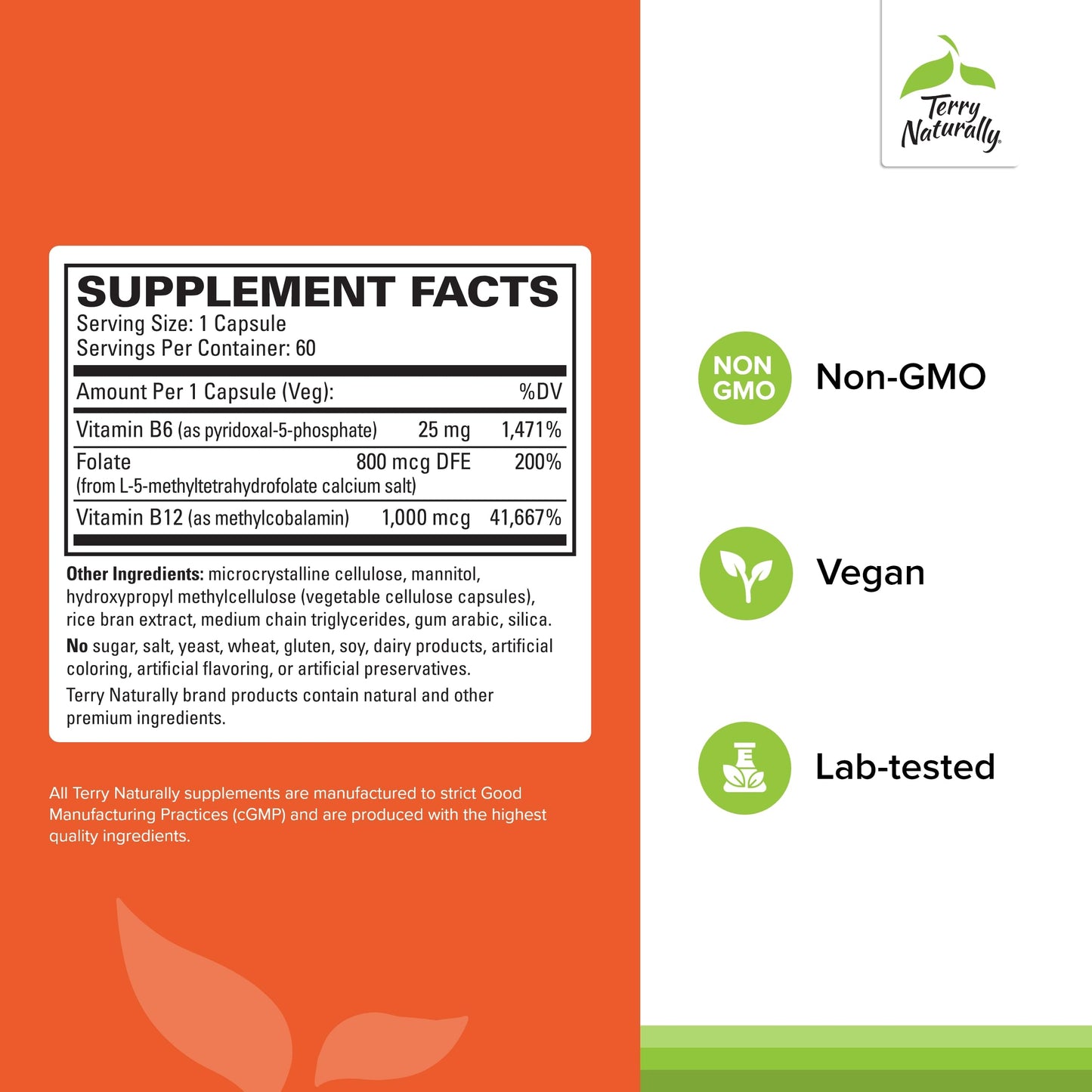 Terry Naturally BioActive Vitamin B Capsule 60 Count