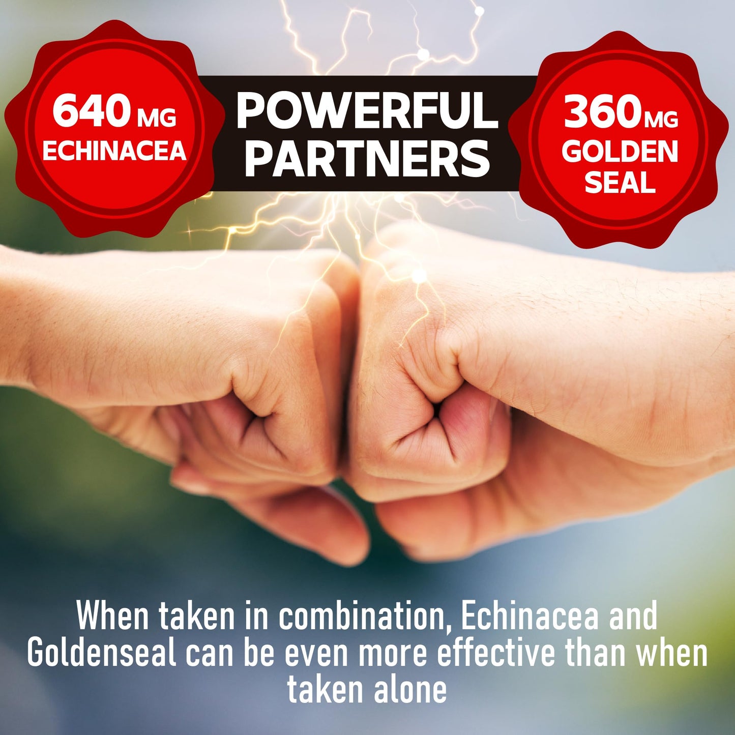 DEDICAD 1000mg Echinacea Goldenseal Capsule, 60 Count