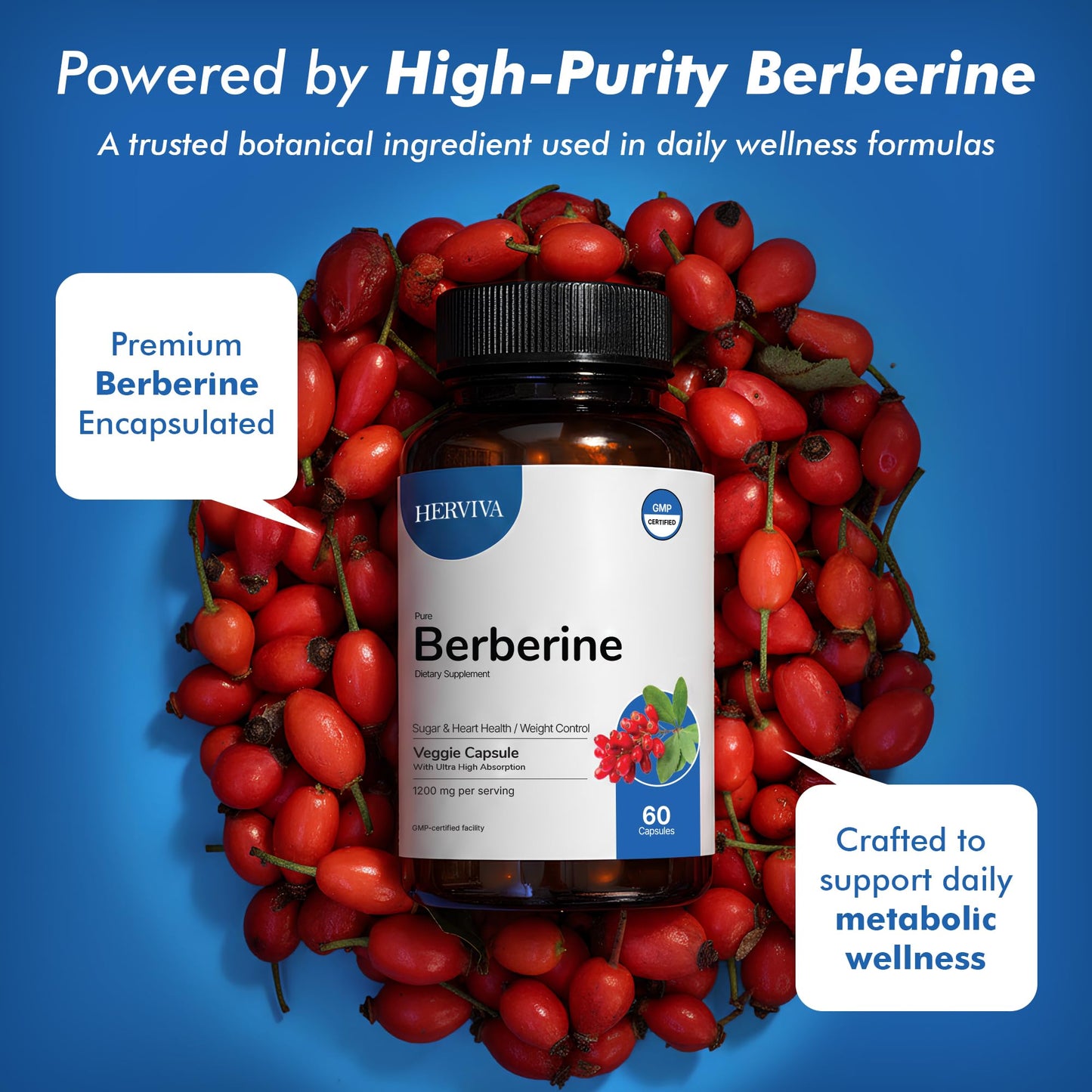 HERVIVA Berberine 1200mg Supplement Capsules, 60 Count