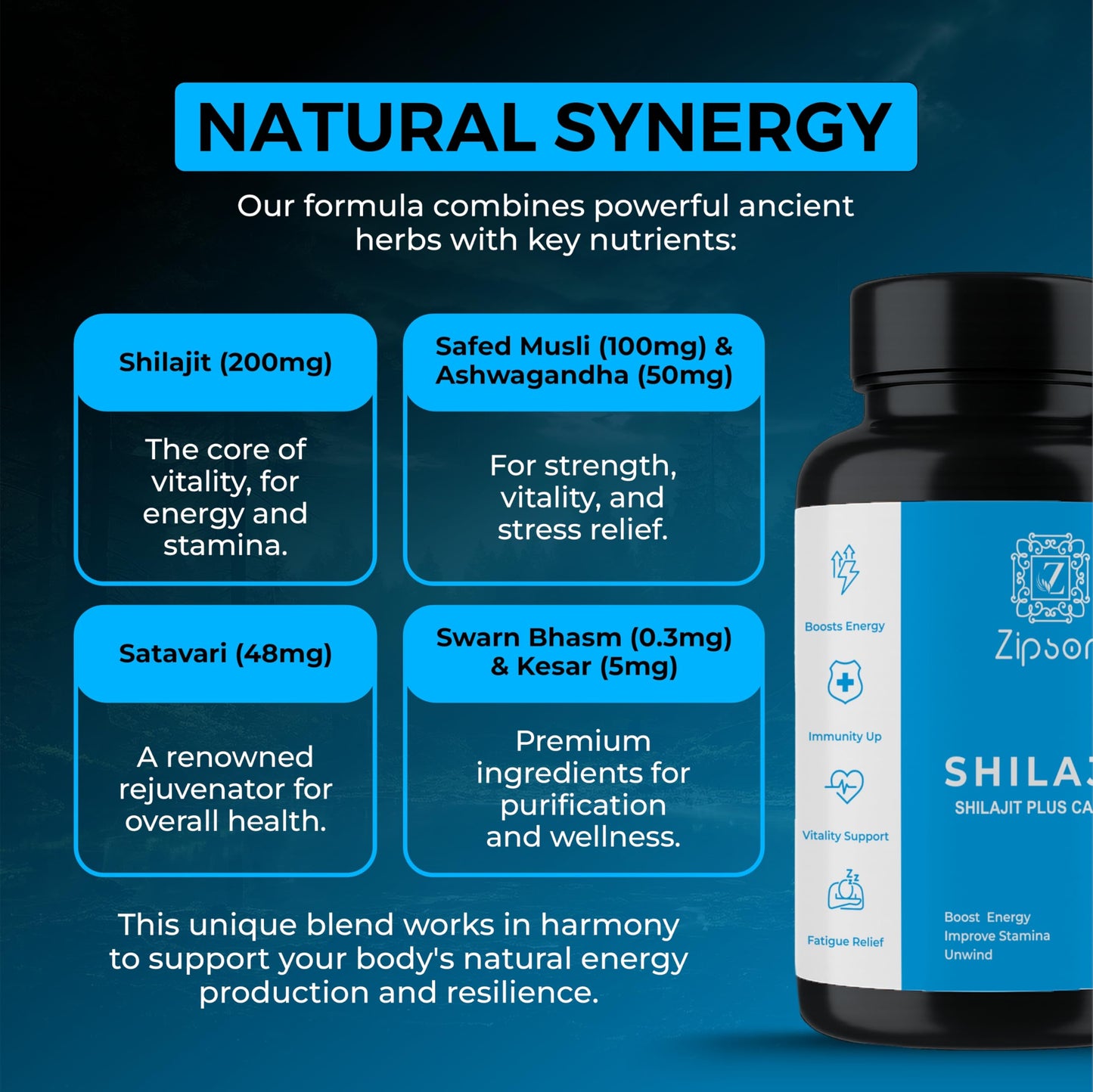 ZIPSON Shilajit for Men & Women Capsules 90 Count