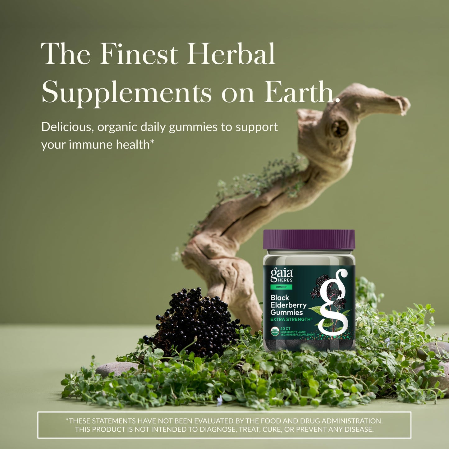 Gaia Herbs Black Elderberry (Sambucus nigra) Extra Strength Gummies, 40 Count
