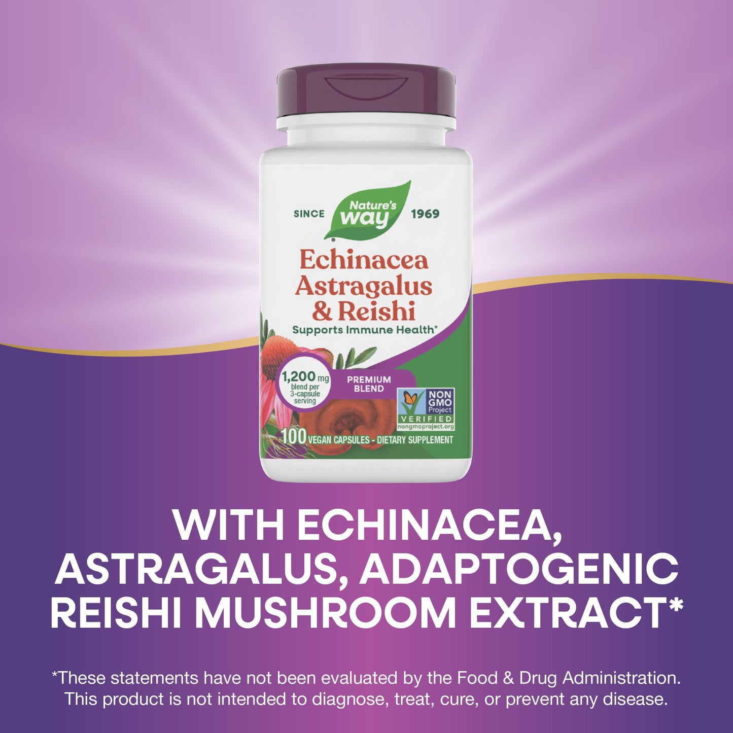 Nature's Way Echinacea, Astragalus & Reishi Immune Blend 100 Capsules