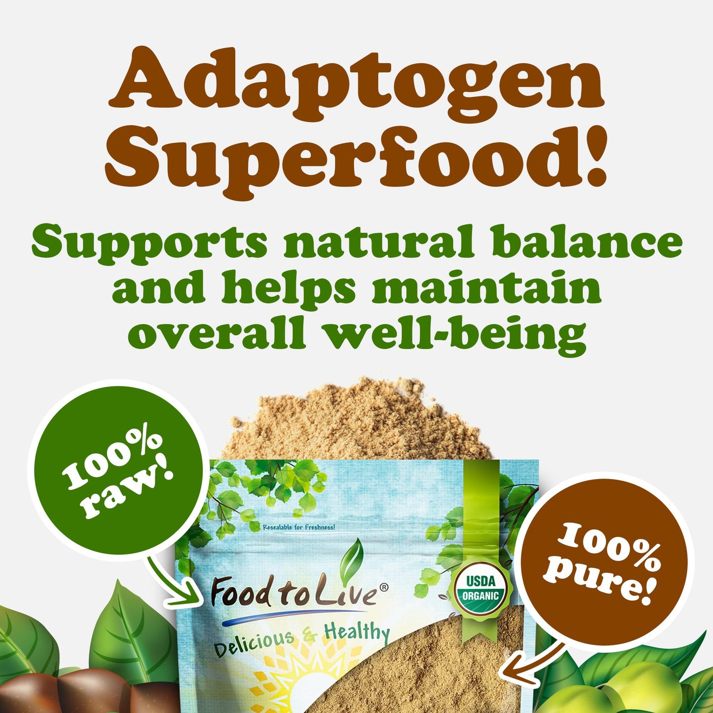 Food to Live Organic Triphala Powder, 16 Ounce