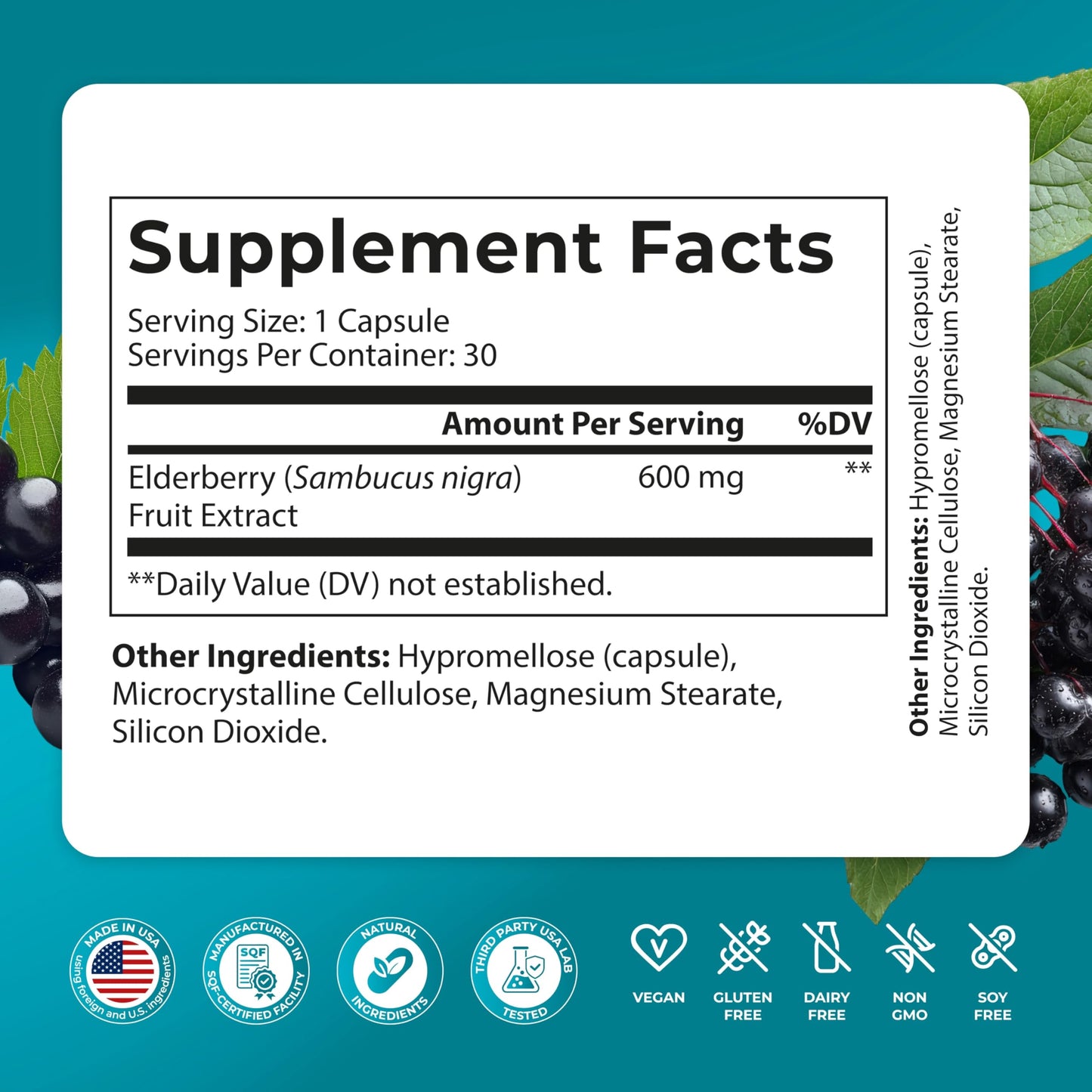 PUREHEALTH RESEARCH Elderberry Immunity Support 600mg Black Elderberry Extract Sambucus Nigra Fruit Extract Antioxidant Wellness, 30 Vegetarian Capsules