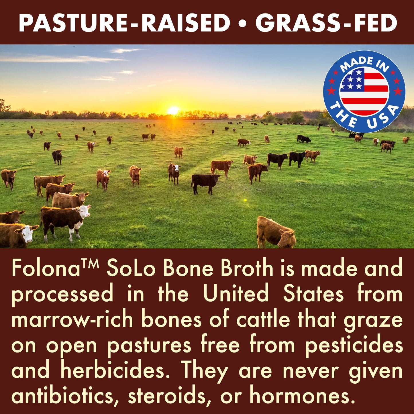 FOLONA Solo Bone Broth Protein Collagen Powder Low Sodium 16 g Hydrolyzed Collagen Type I & III
