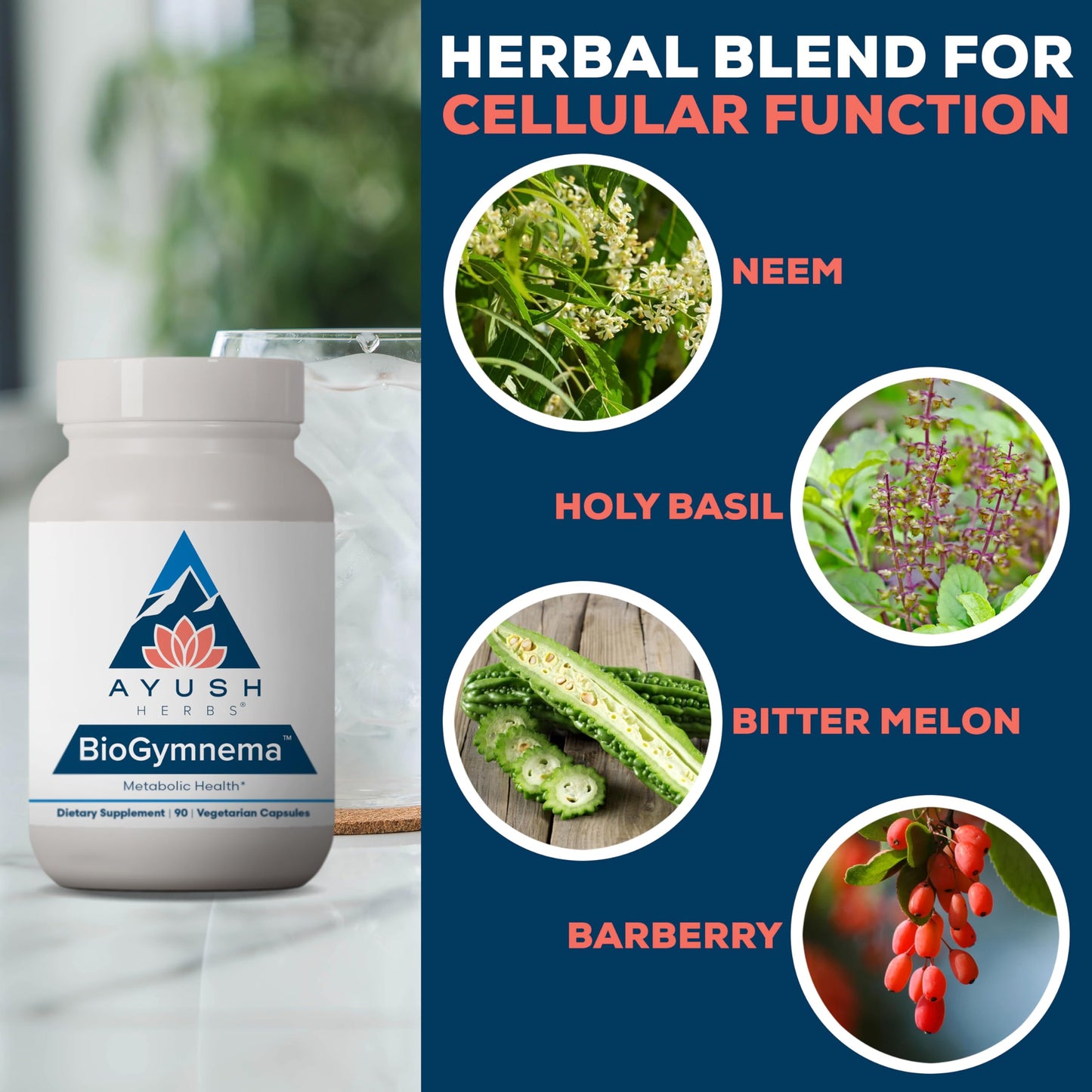 Ayush Herbs BioGymnema Metabolic Vitamin & Herb Blend Capsule 90 Count