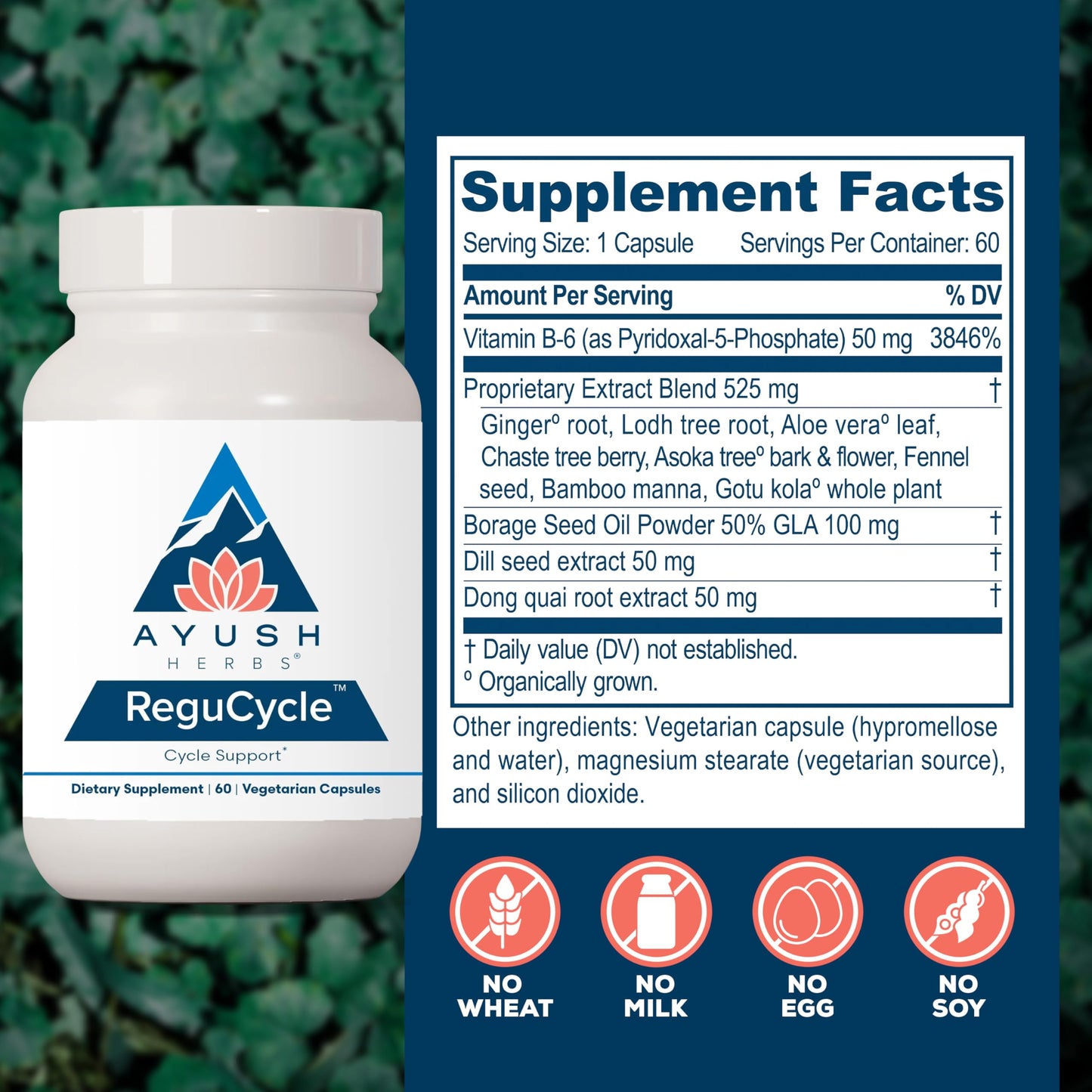 Ayush Herbs Regu-Cycle Capsule, 60 Count