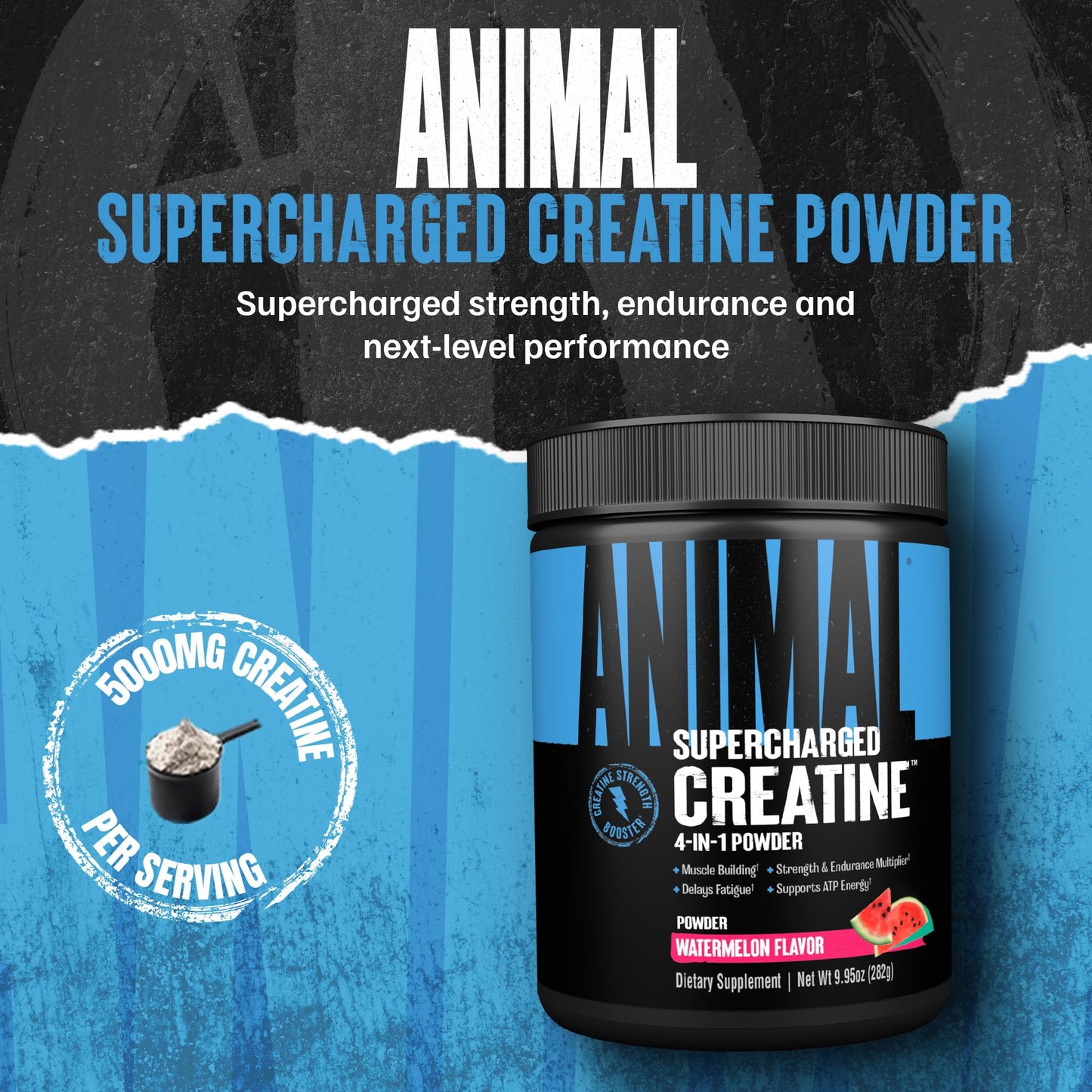 Animal Supercharged Creatine Powder Watermelon 9.95 Ounce