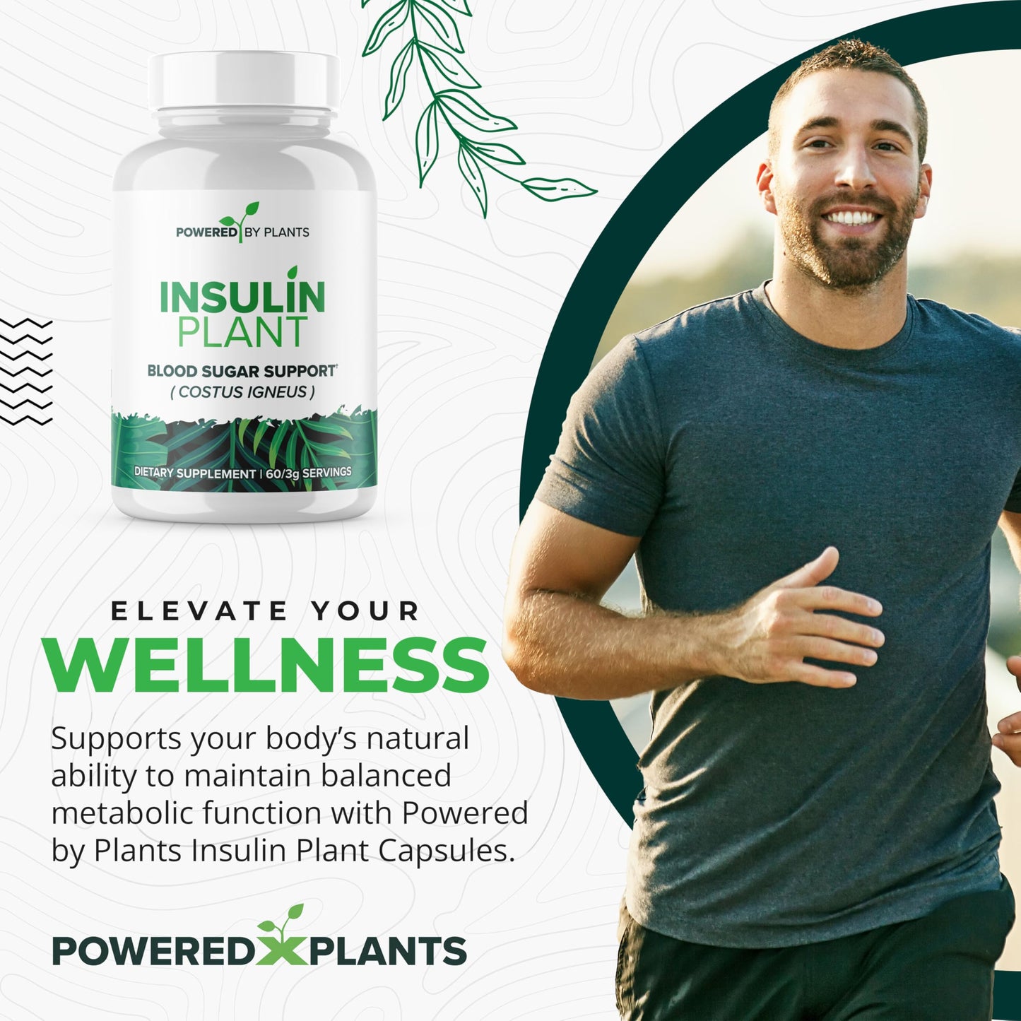 Research Biotech Group Insulin Plant Capsule 240 Capsules