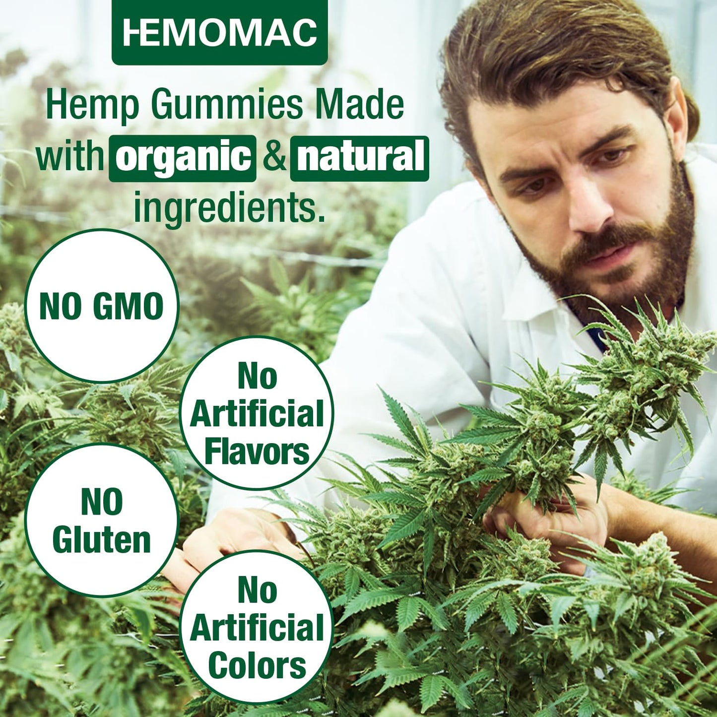 HEMOMAC Organic Hemp Gummies High Potency, Gummy, 240 Count