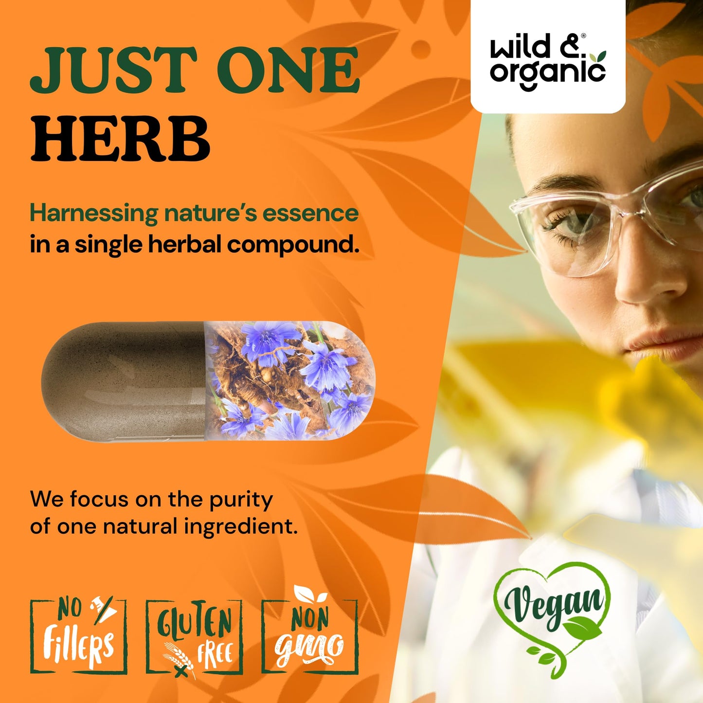 Wild & Organic Chicory Root Capsules 60 Count