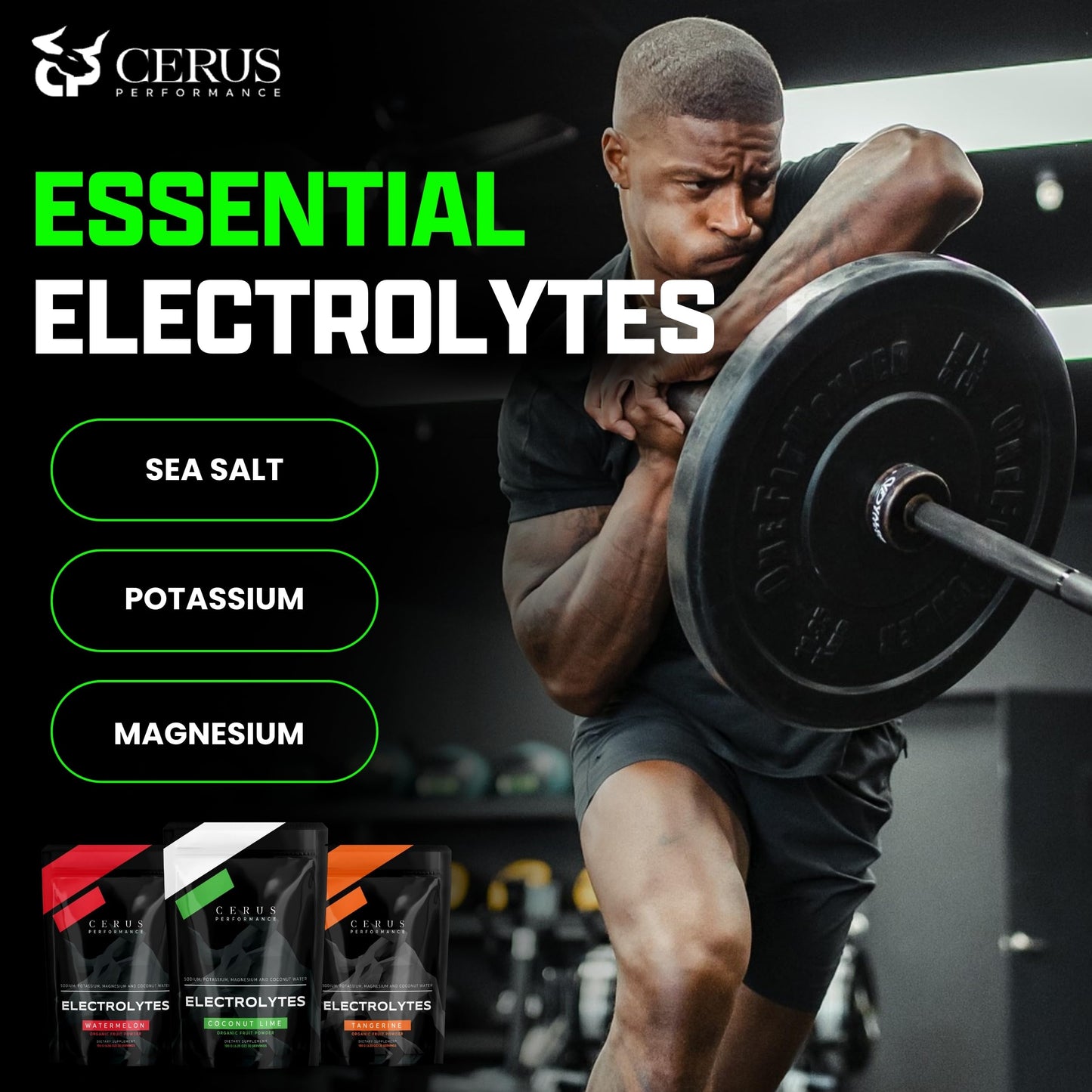 Cerus Performance Electrolyte Powder 6.56 Ounce