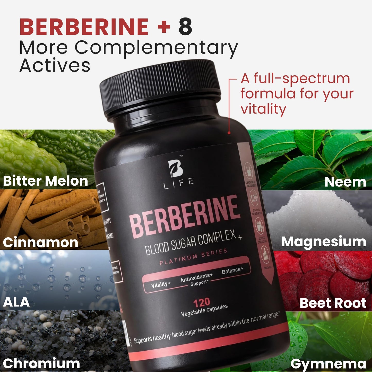 B Life Company Berberine Supplement 300mg – Berberine Complex Metabolism Capsule, 120 Capsules