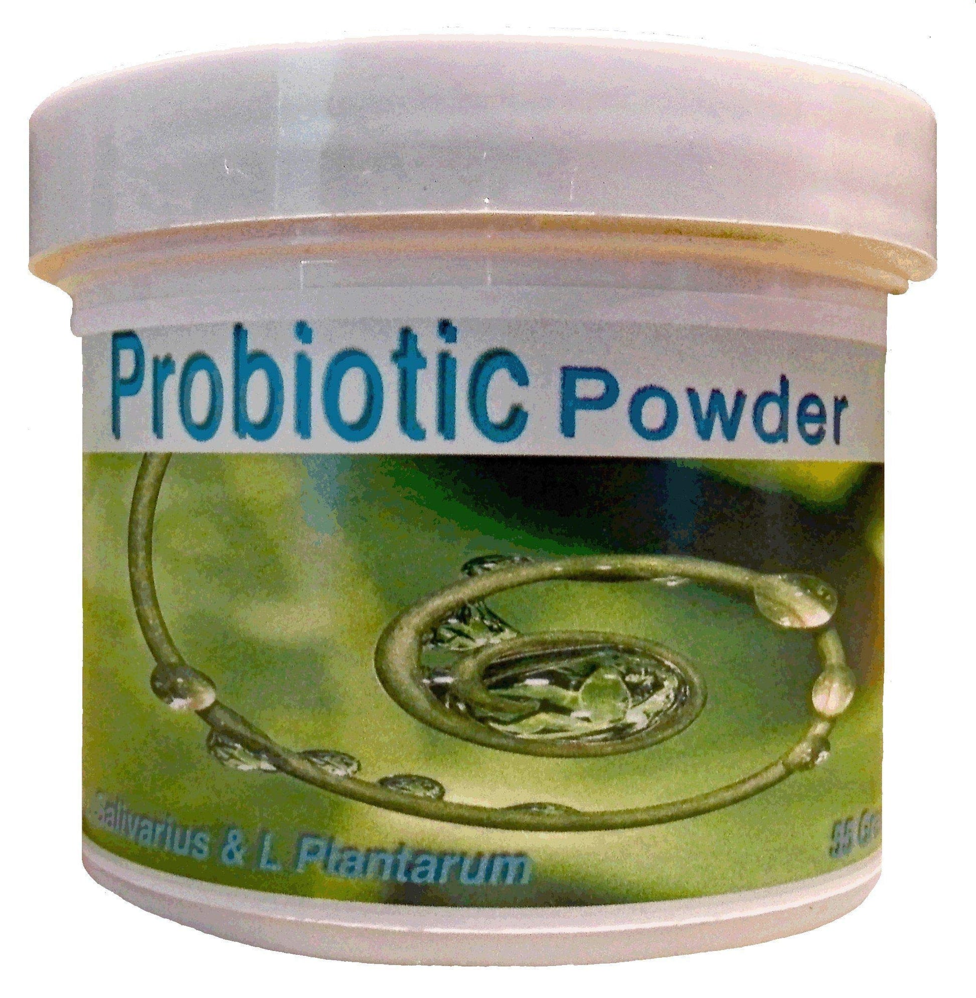 Frequency Foods Probiotics Powder 1.93 Ounce