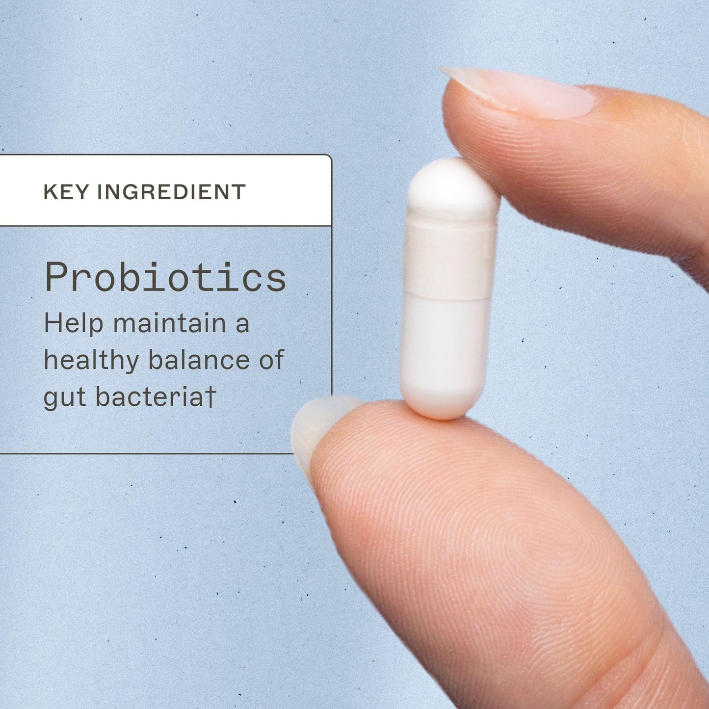Amy Myers MD Probiotic Capsules 100 Billion - Maximum Strength Daily Probiotic - Gastrointestinal Health Supplement - Digestion & Immune Support, 30 Count