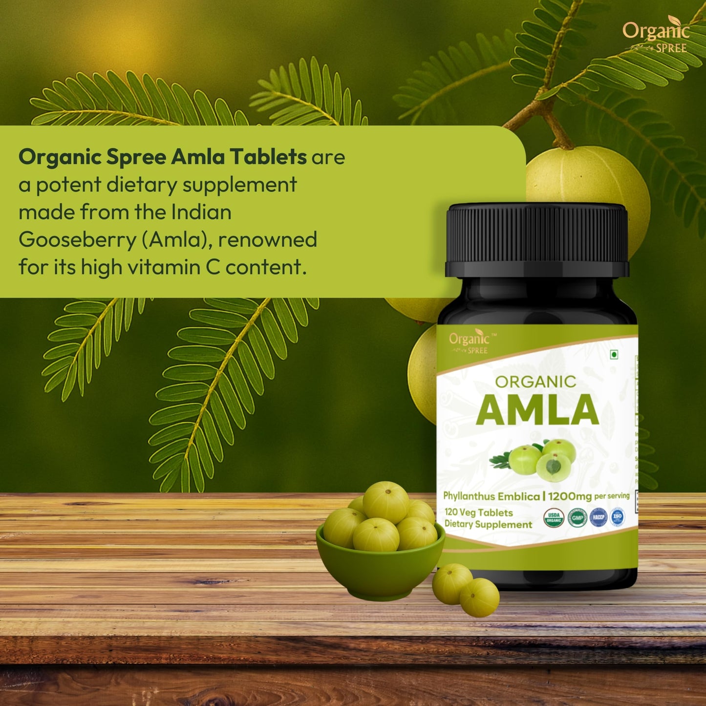 ORGANIC SPREE Amla Tablets 240 Tablets