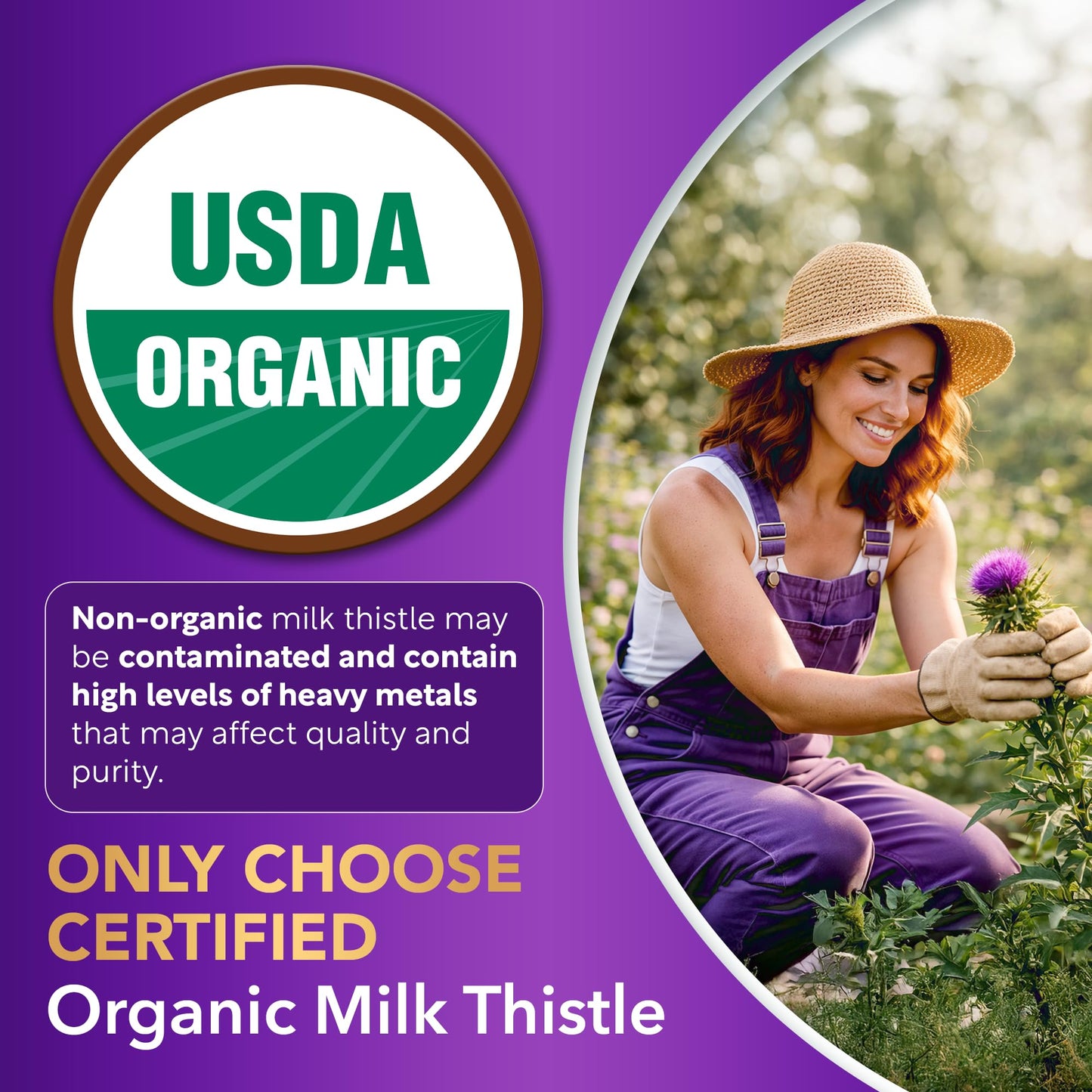 Dalnara Milk Thistle Liver Support Capsules 120 Count