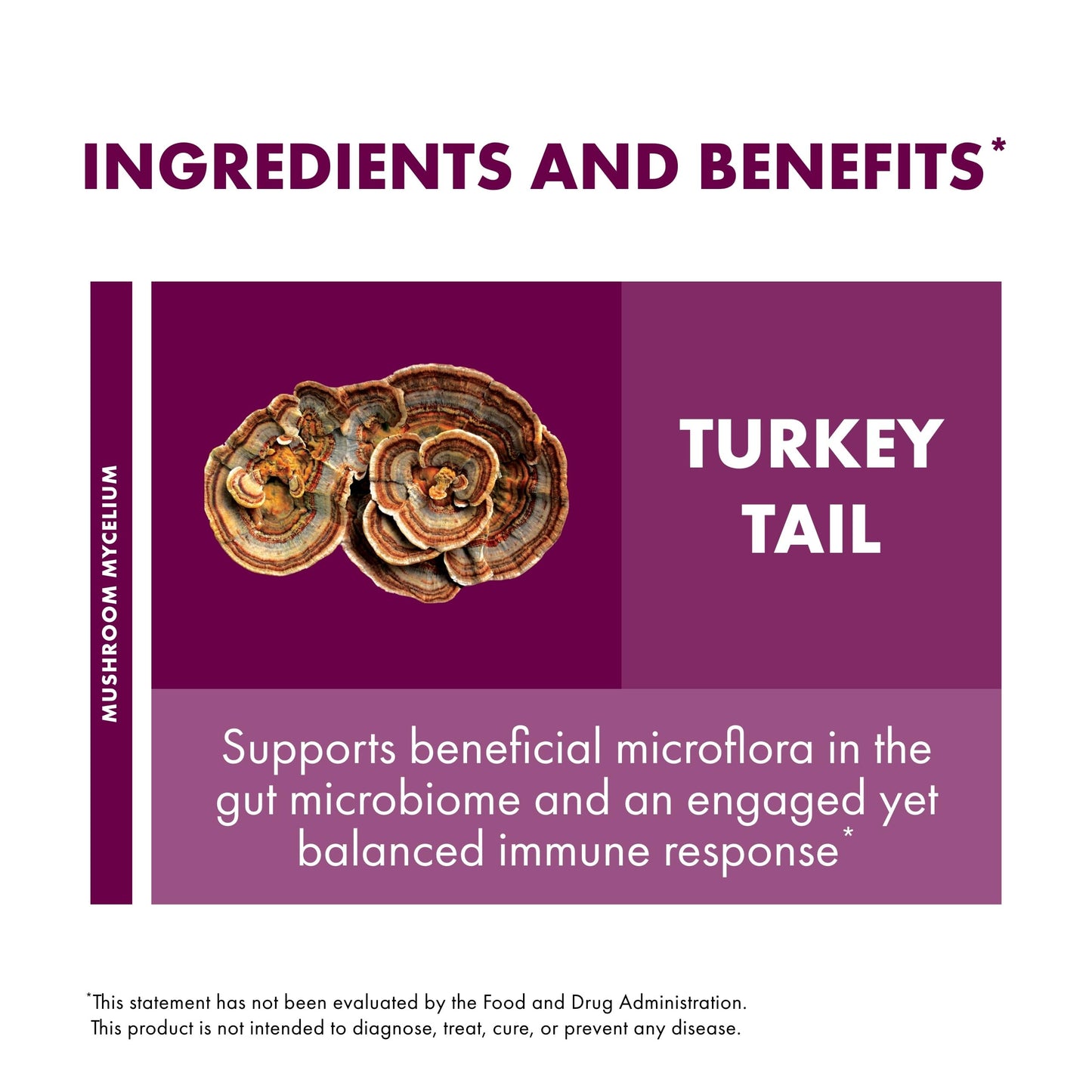 Host Defense Turkey Tail 60 Capsules