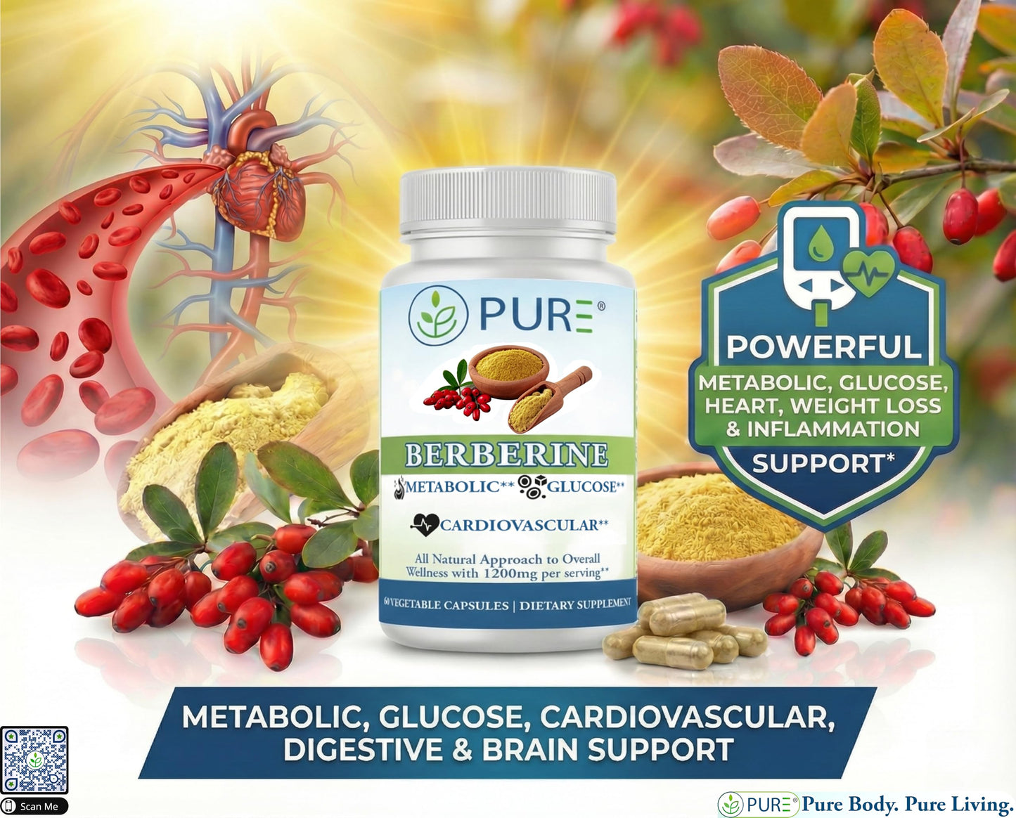 PURE Berberine Supplement Capsule, 1200mg, 60 Count