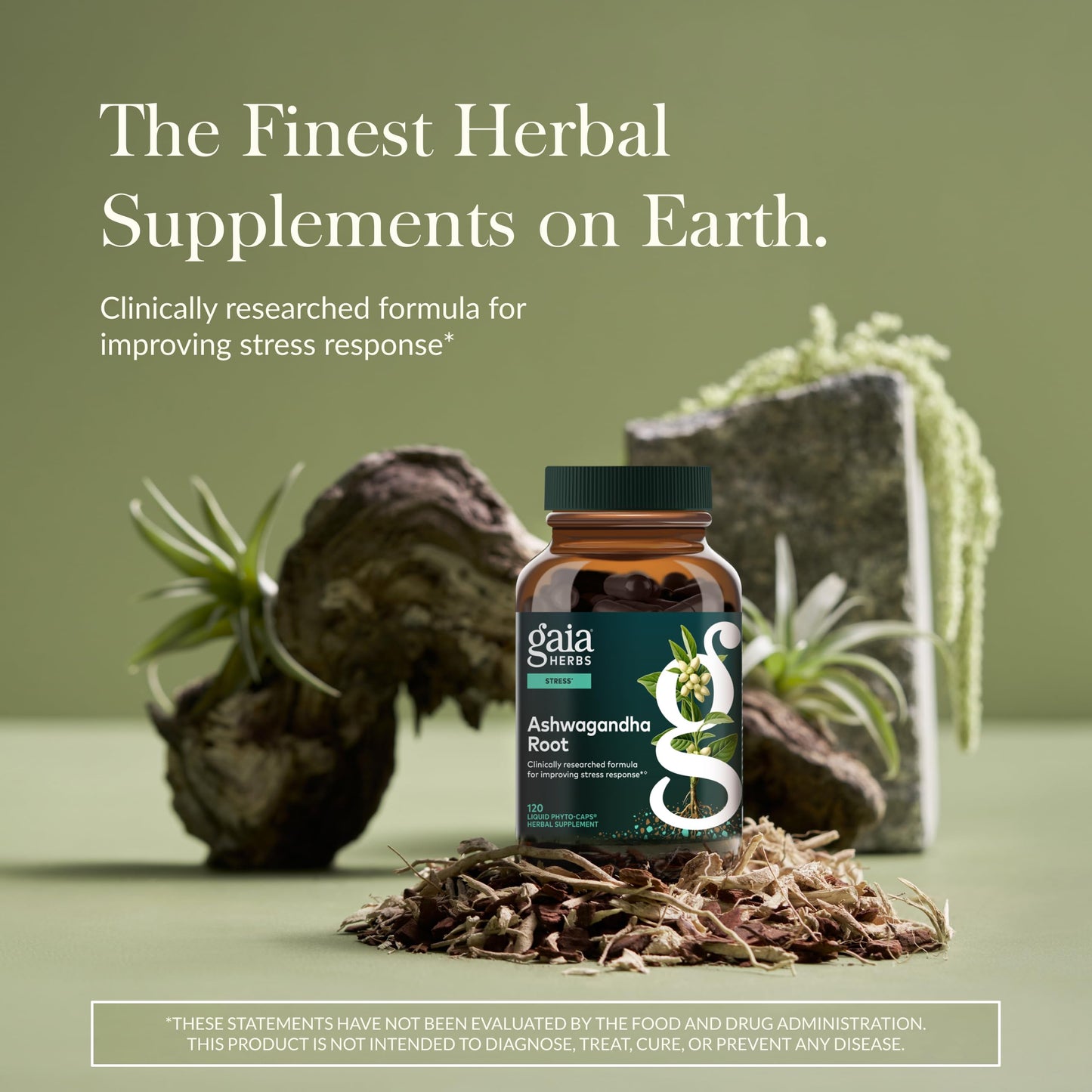 Gaia Herbs Ashwagandha Root Capsule 120 Count
