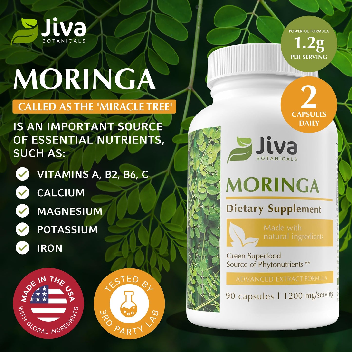 Jiva Botanicals Moringa Leaves Extract Capsules, 90 Count