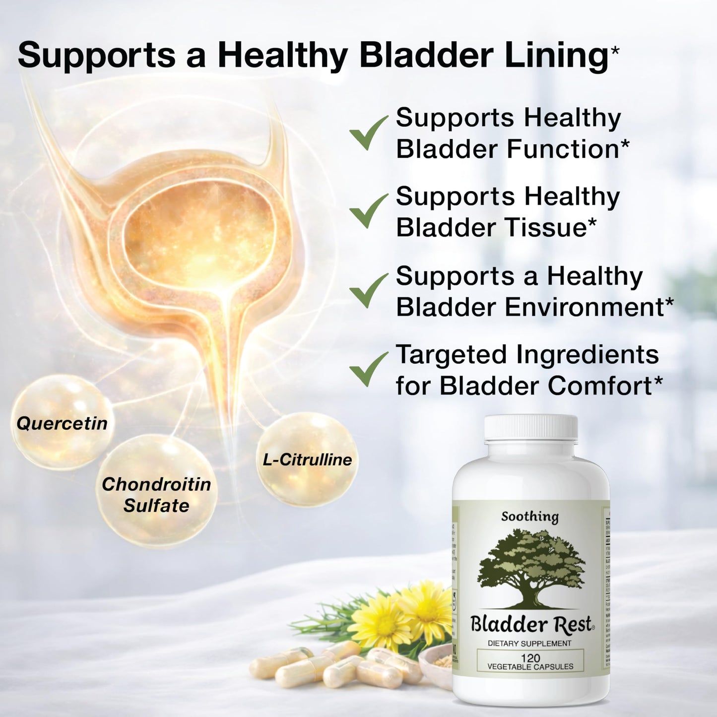 Bladder Rest Bladder Health & Pelvic Discomfort Natural Lining Support 120 Capsules