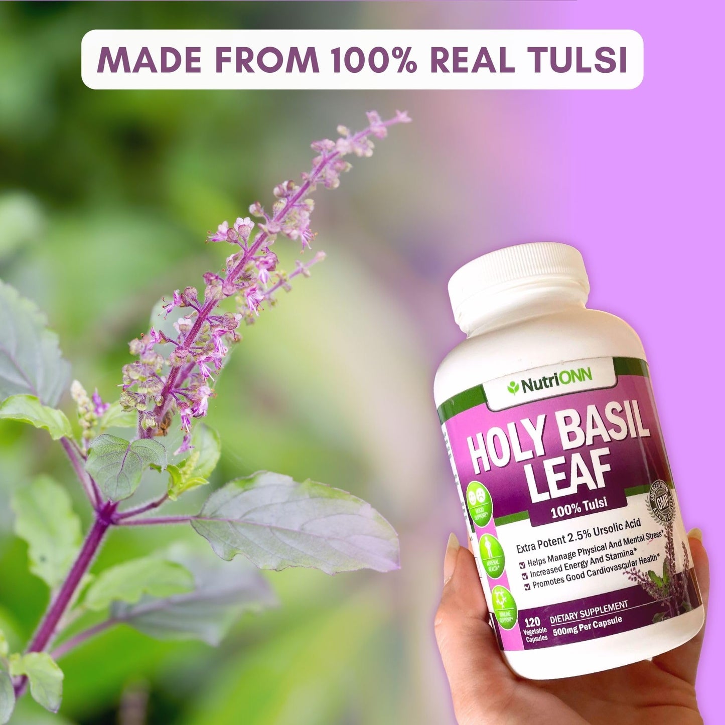 NutriONN Holy Basil Leaf 500mg Capsules 120 Count