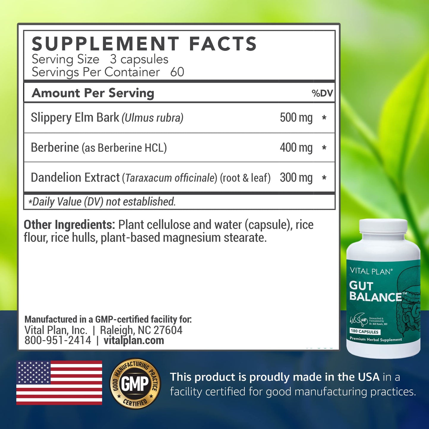 Vital Plan Gut Balance Supplement Capsule 180 Count