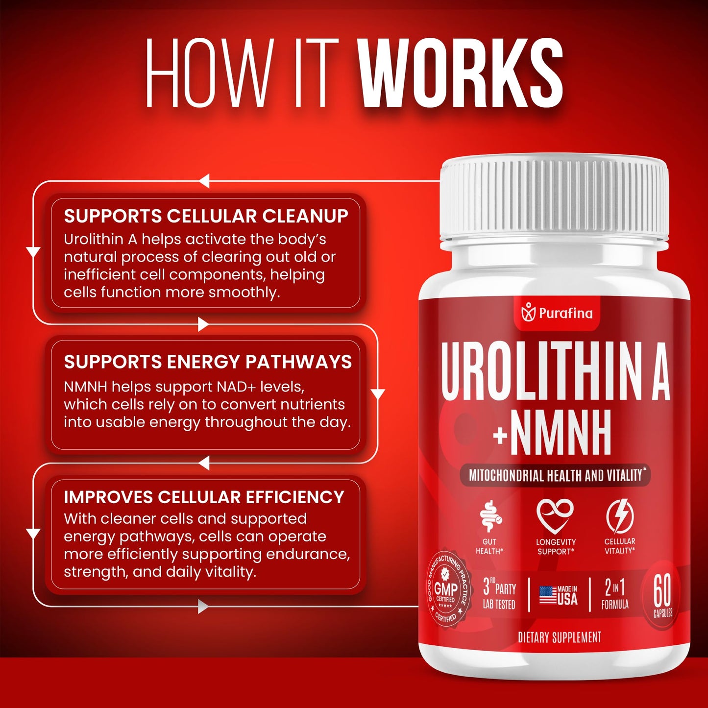 Purafina Urolithin A Supplement with NMNH for Mitochondrial Support, Cellular Energy, Healthy Aging, Muscle Health, Vitality & Cellular Wellness, 60 Capsules
