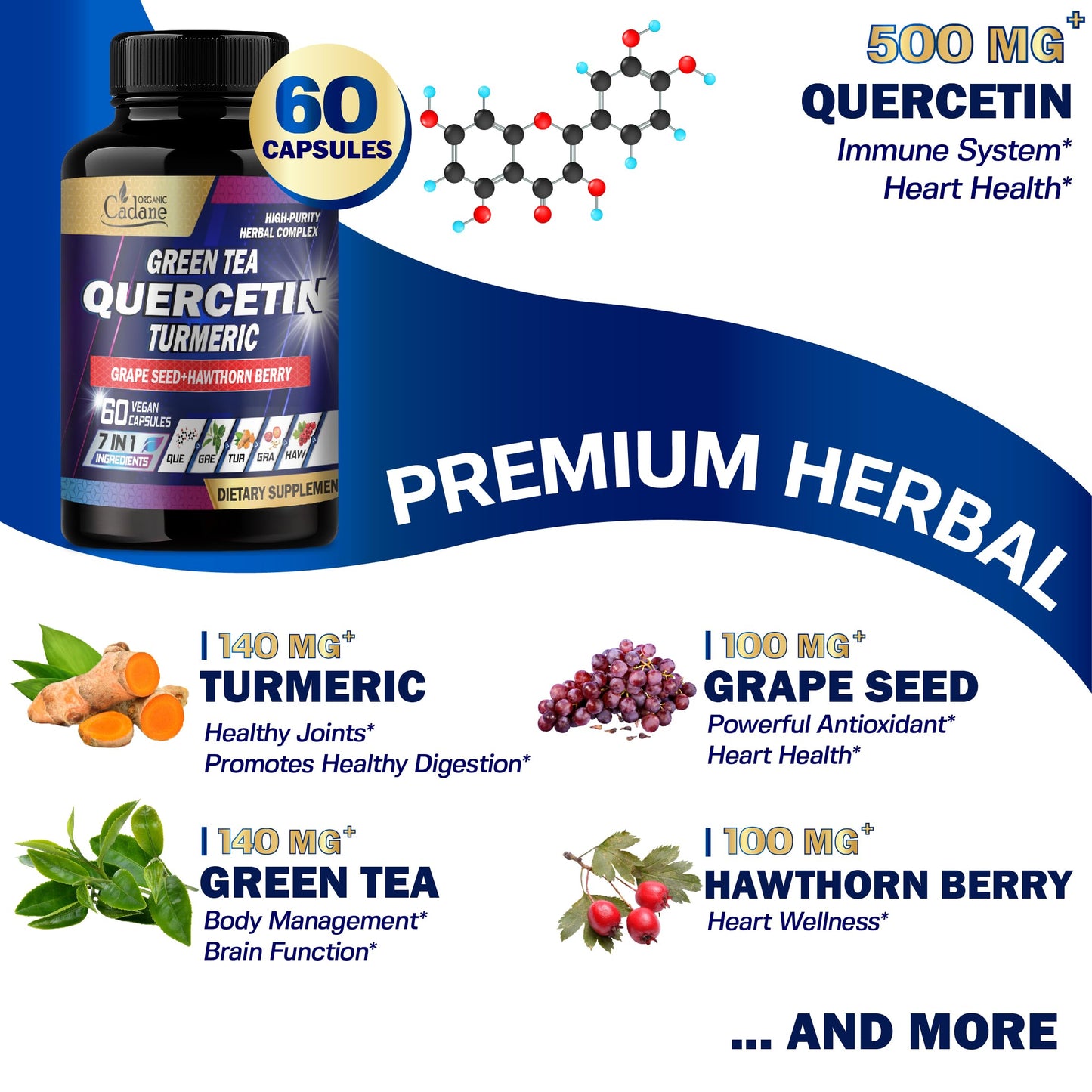 Organic Cadane Quercetin Supplements Capsule 60 Count