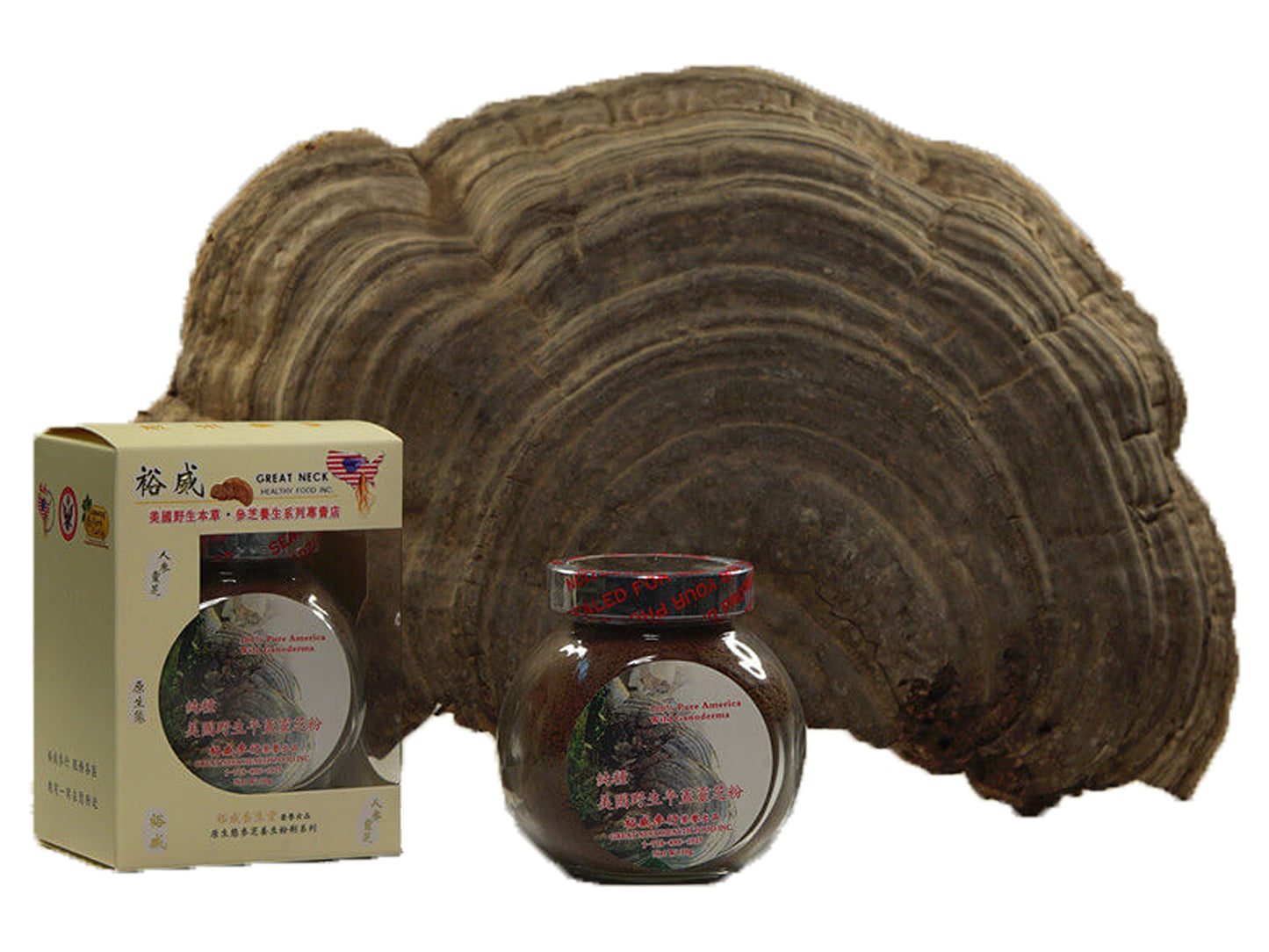 GREAT NECK HEALTHY FOOD INC. Yu Wei Ginseng - Wild American Ganoderma Applanatum Powder 1.05 Ounce