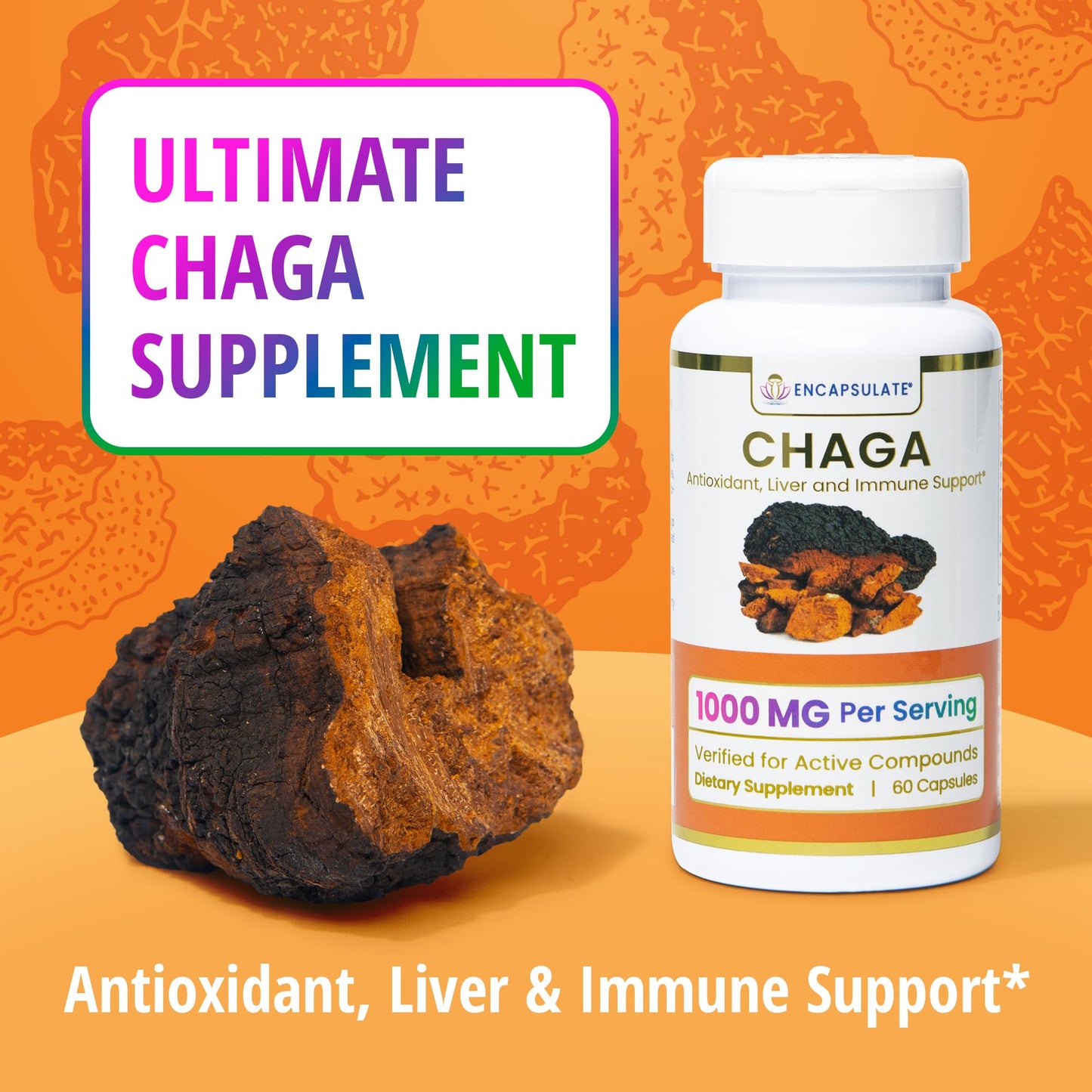 ENCAPSULATE Chaga 8:1 Extract capsules, 60 Count
