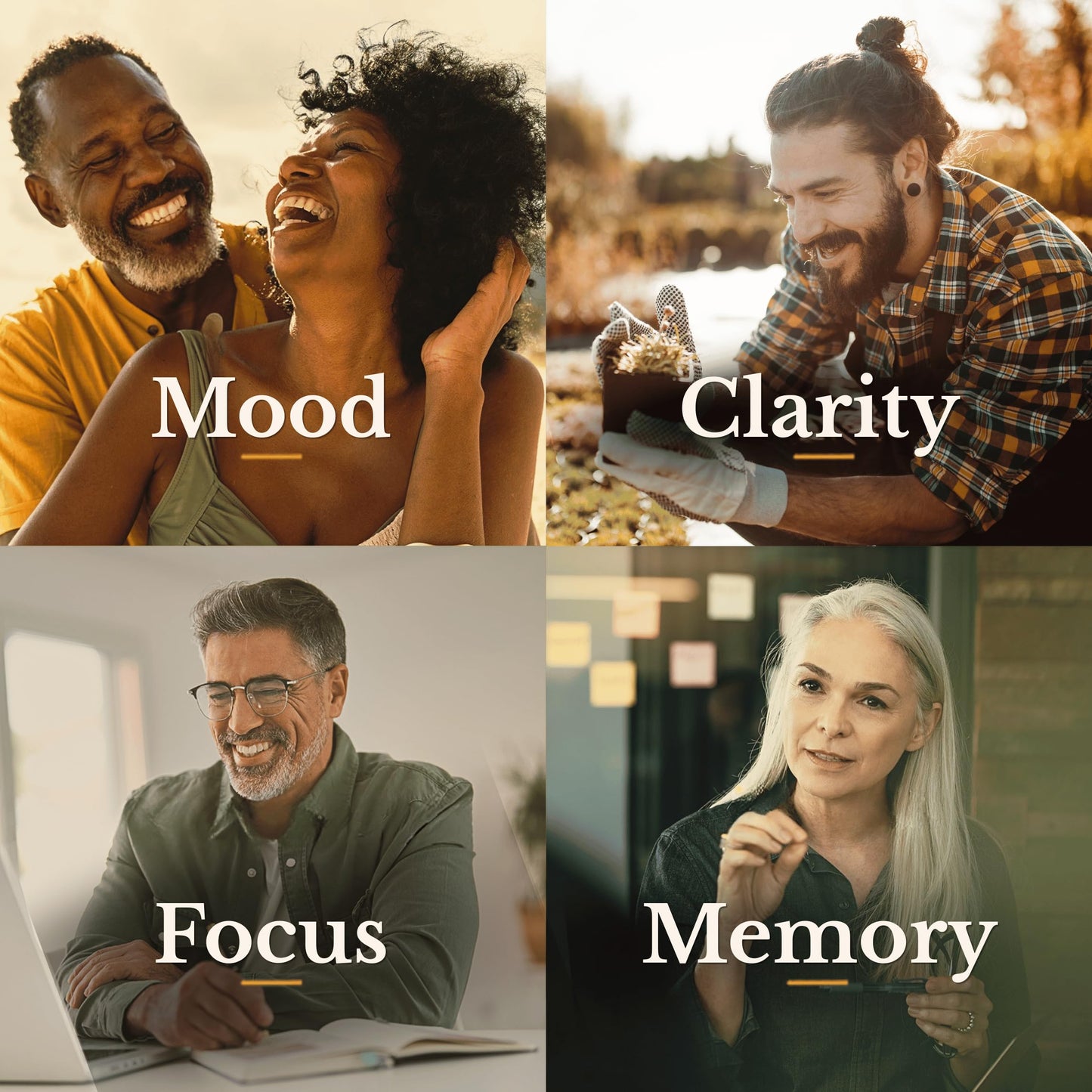 WASABI BRAIN Memory, Mood & Focus Supplement for Adults - Brain Health Formula with Organic Wasabi Extract, Saffron, Citicoline & Phosphatidylserine, 120 Capsules