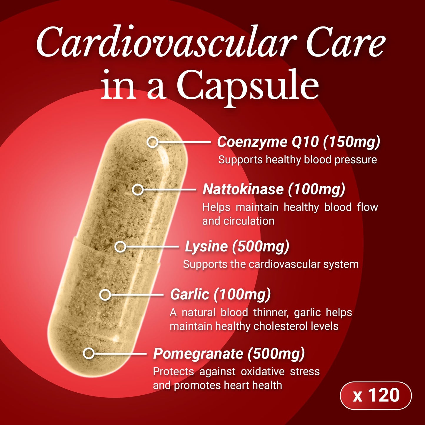 Rhoziva CoQ10 Cardiovascular Supplement 150mg Capsule, 120 Capsules