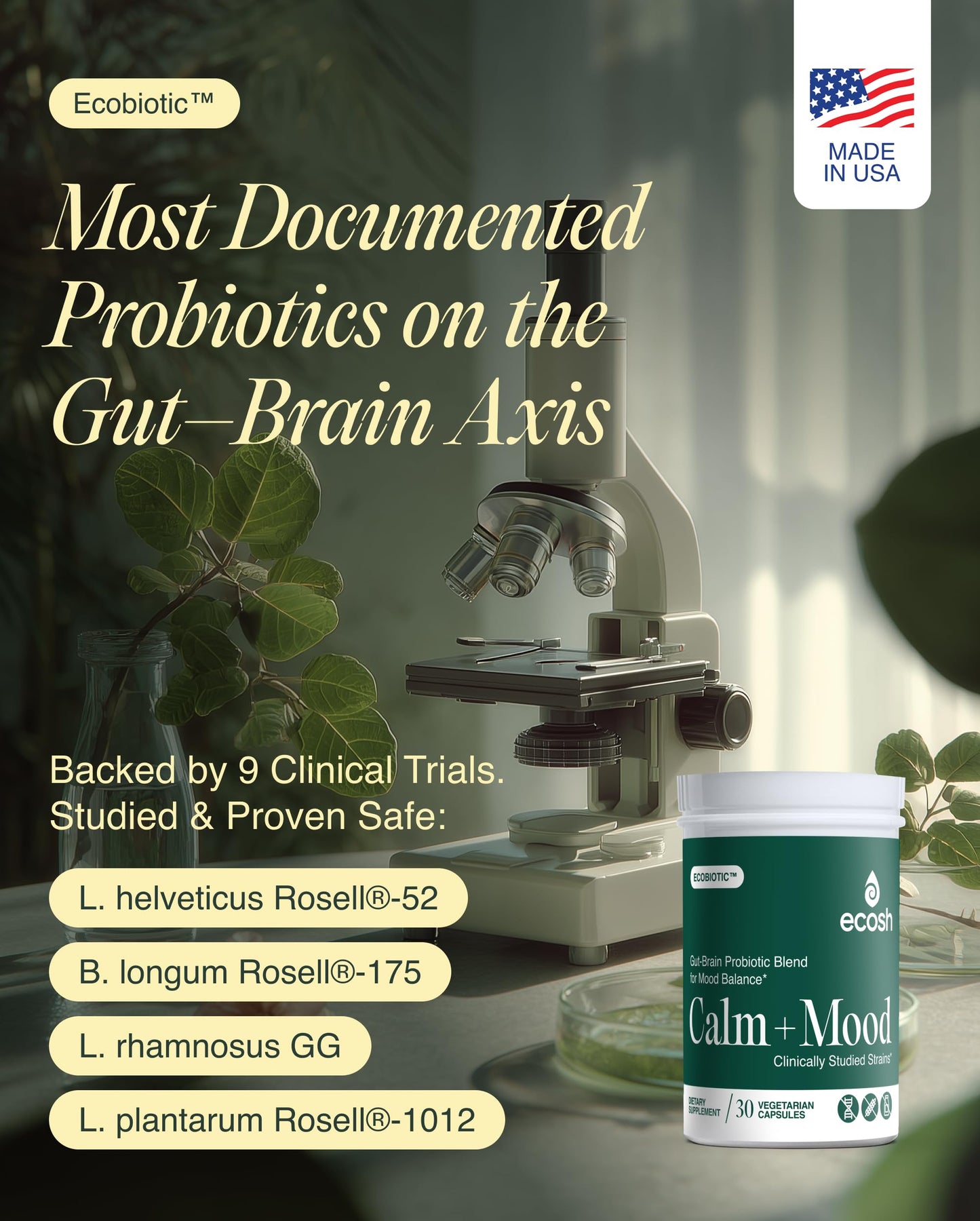 Ecosh Ecobiotic Calm + Mood Probiotic Gut–Brain Mood Support Supplement with Clinically Studied Strains (L. helveticus R0052, B. longum R0175, L. rhamnosus GG, L. plantarum 1012), Ashwagandha, VIT C & B6, 30 Capsules