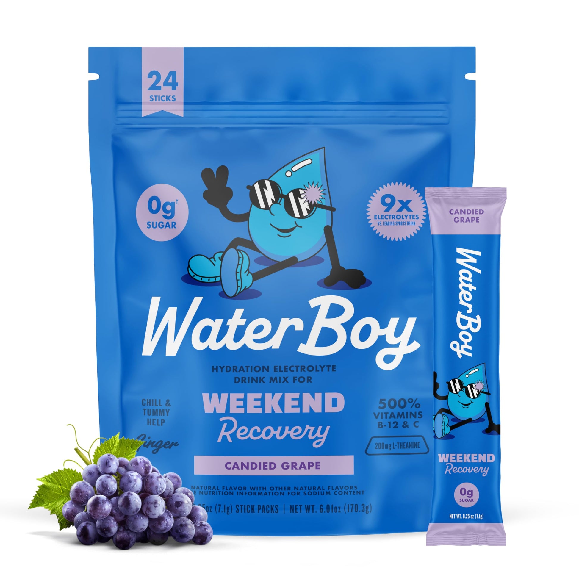 Waterboy Weekend Recovery Powder 6.42 Ounce